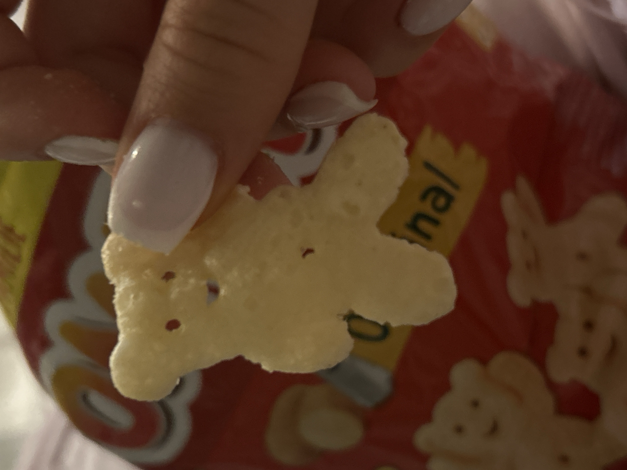 A hand is holding a light-yellow, bear-shaped cracker in front of a red bag. The bag has yellow text that appears to say "original" and images of similar bear-shaped crackers on it. The person's nails are painted a light pink color. The location and city are unknown.