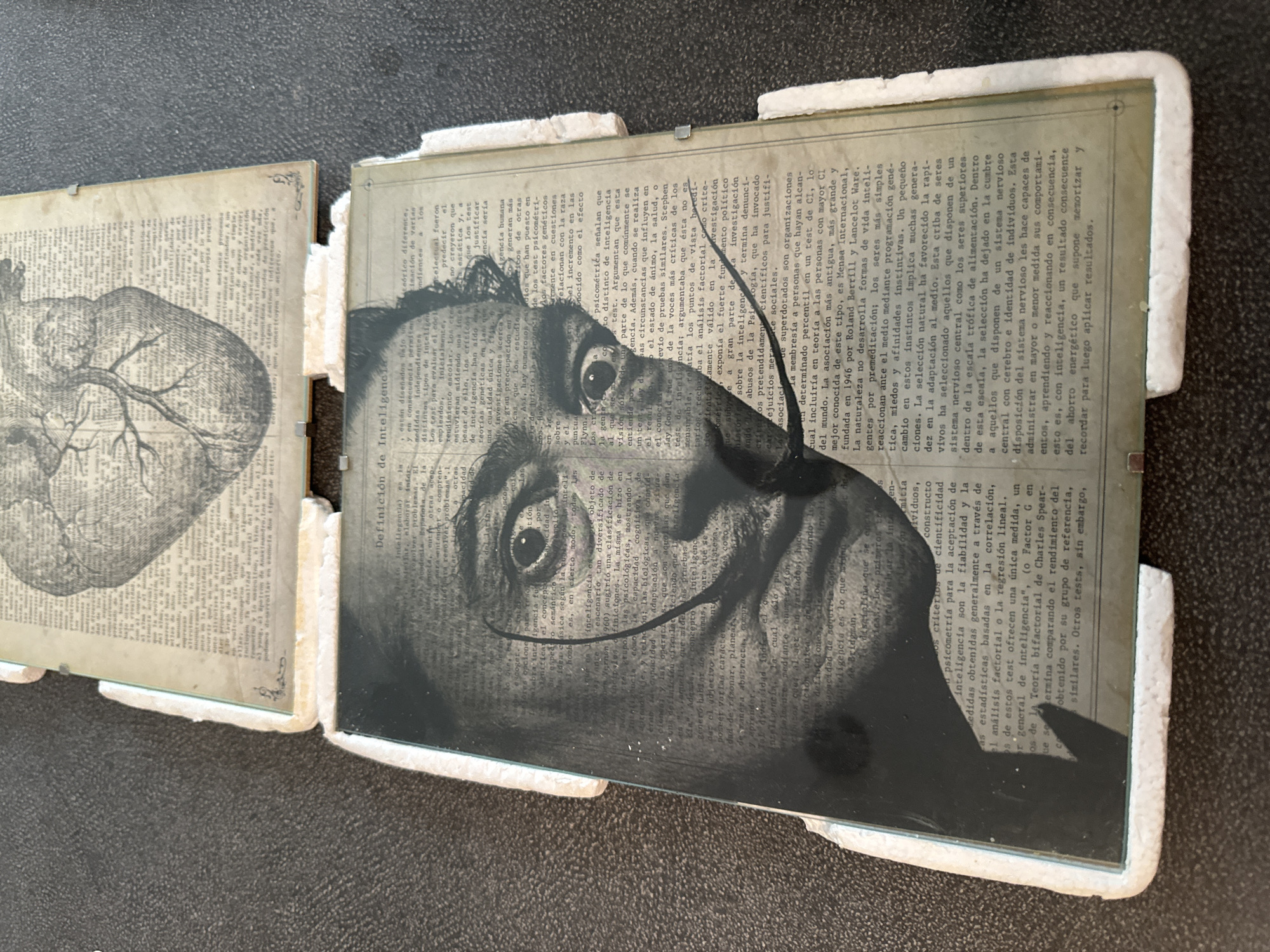 The image shows a close-up, overhead view of two framed artworks. The top artwork is a page from an old book with an anatomical illustration of a human heart. The bottom artwork is a page from a book with a black and white portrait of Salvador Dalí superimposed over text. Both artworks are framed and appear to be lying flat. The bottom artwork is slightly angled and rests on a white foam padding. The background is a dark, textured surface. There is no indication of the city of Murcia, Spain, in the image.