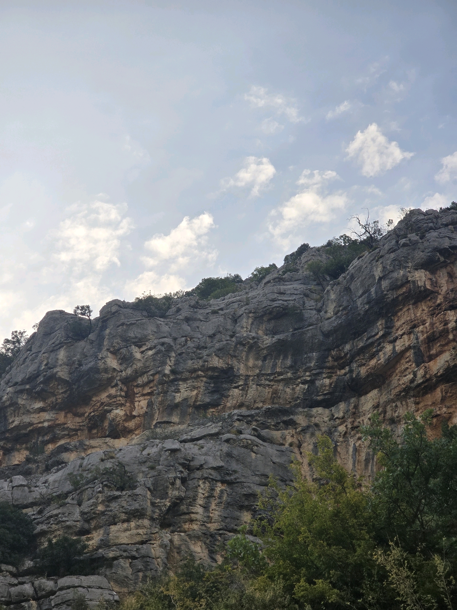 The image shows a rugged, grey rock face with layers of brown and orange mineral deposits. The rock face is steep and appears to be part of a mountain or cliff. Green trees and bushes grow at the base and on ledges of the rock face. Above the rock face, the sky is visible with scattered white clouds against a pale blue background. The scene is an outdoor natural landscape. This specific rock formation is located in the vicinity of the Morača River canyon, close to Podgorica, Montenegro. There are no people or discernible actions captured in this still image.