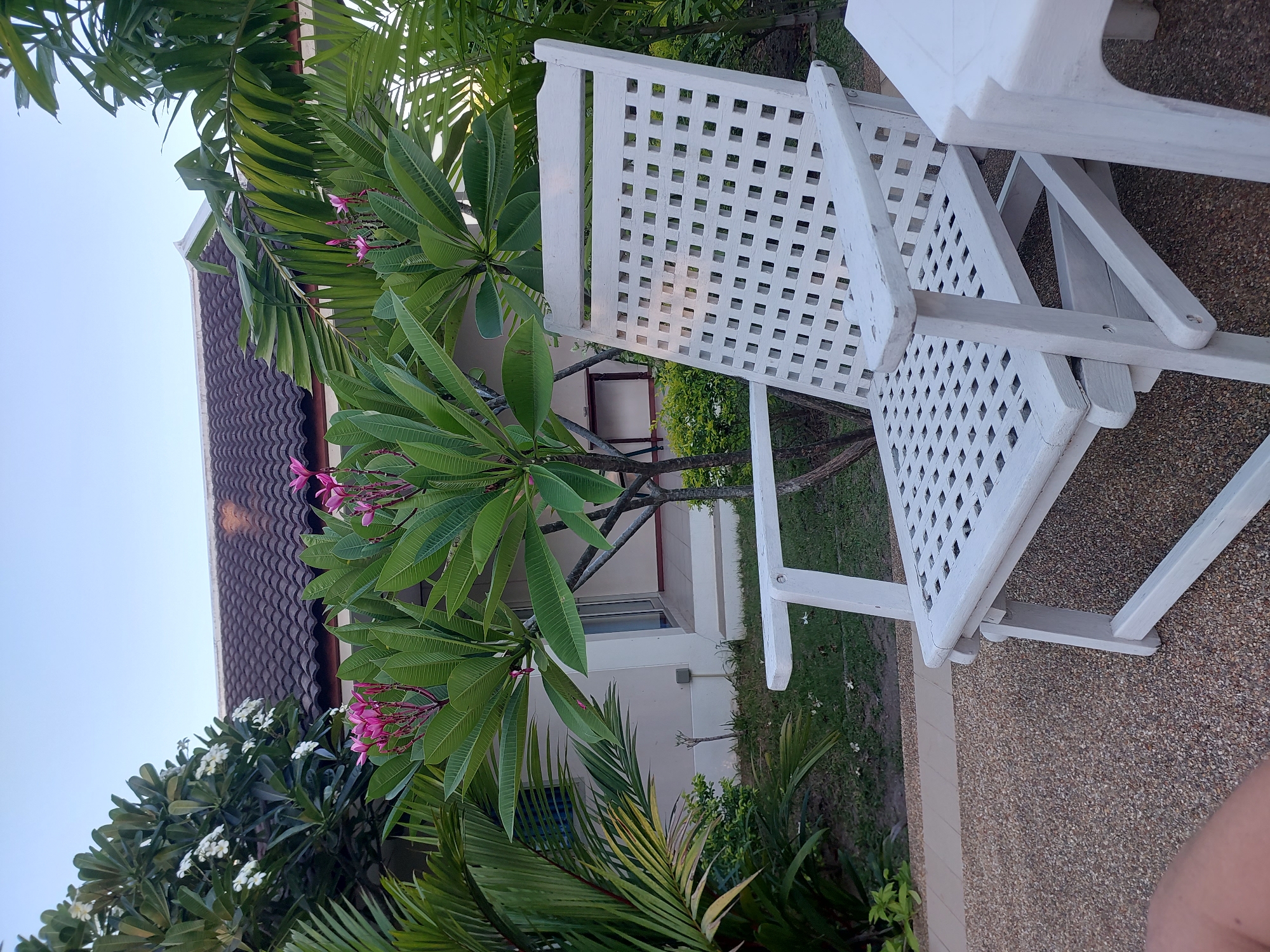 The image depicts a white wooden Adirondack chair situated on a gravel pathway in front of a white building with a dark tile roof. Behind the chair, lush green foliage and pink plumeria flowers are visible. The scene appears to be outdoors, likely in a tropical or subtropical setting, given the plants. The lighting suggests it is either early morning or late afternoon. The location is identified as Baan Mae Nam, Thailand.