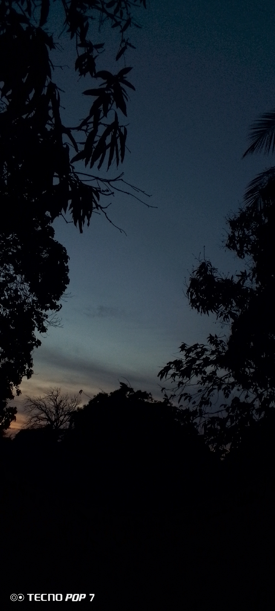 The image depicts a twilight scene of trees silhouetted against a fading sky. The lower portion of the image is dark, while the sky shows a gradient from a dim orange horizon to a deep blue above. Branches and leaves are visible in the foreground, framing the view. The image was taken in Altagracia, Venezuela using a Techno Pop 7 mobile phone.