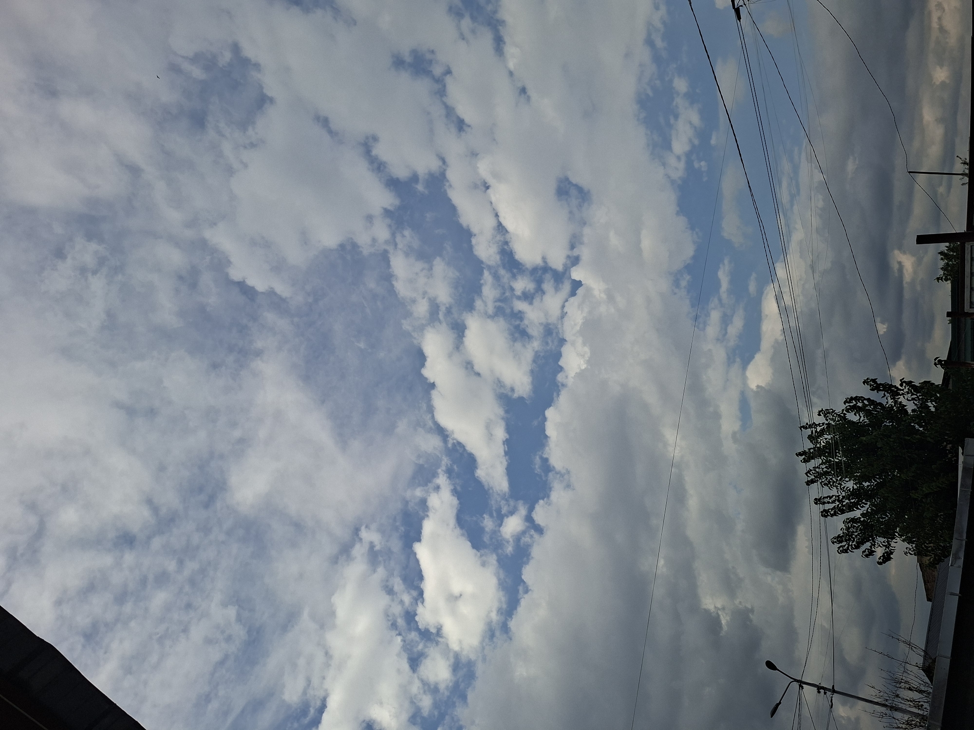 The image shows a partially overcast sky with a mix of white cumulus clouds and darker, more diffused clouds against a blue sky. A portion of a dark, angled roofline is visible in the upper left corner, likely part of a building. In the lower part of the image, a leafless tree is visible on the left, and a deciduous tree with dense green foliage is in the center. A street light on a pole is positioned to the left of the trees. Numerous dark electrical wires crisscross horizontally through the lower half of the frame. The scene appears to be an outdoor urban environment, potentially in Tbilisi, Georgia, given the architectural style and infrastructure suggested by the visible elements.