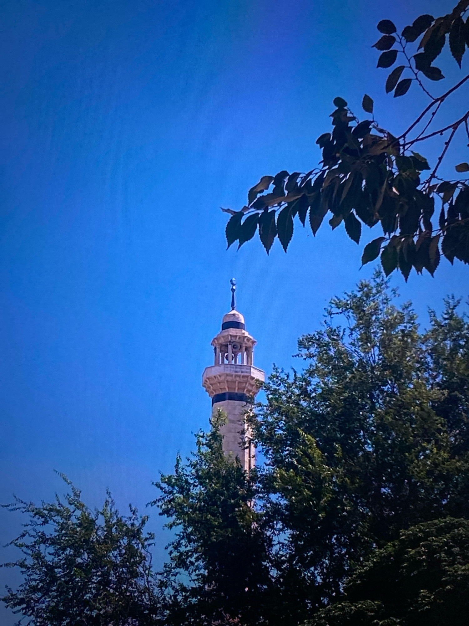 A minaret of a mosque rises from behind lush green trees against a bright blue sky. The minaret is tall and slender, with intricate architectural details and a golden crescent moon topping its spire. The trees in the foreground are full and vibrant, their leaves casting dappled shadows. A few branches with leaves hang from the top of the frame, framing the scene and adding depth. The image has a serene and peaceful atmosphere, evoking a sense of calm and spirituality. The lighting is bright and natural, suggesting it was taken on a sunny day. The perspective is from a low angle, looking up at the minaret and trees.