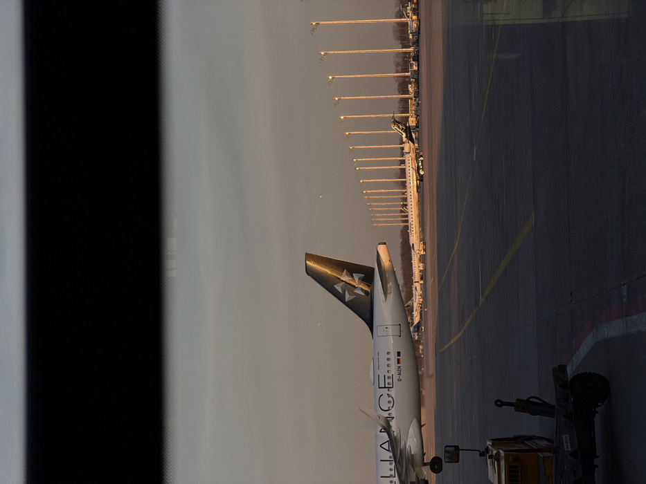 The image depicts an airport apron scene, likely at Munich Airport (MUC) near Freising, Germany, during golden hour lighting. In the midground, a white commercial aircraft, identified as an Airbus A320-200 with German registration D-AIZN, is prominently positioned. The aircraft displays "ALLIANCE" text on its fuselage and a dark gray tail fin featuring a white multi-star logo. Its right side and tail are illuminated by warm, low-angle sunlight.
The tarmac in the foreground is dark gray with yellow and white markings. A portion of a yellow and dark-colored ground tug or cart is visible in the lower-left corner. In the background, multiple other commercial aircraft, including smaller regional jets, are parked on the tarmac, also reflecting the warm light. A linear array of approximately fifteen to twenty tall, slender light poles stands behind the aircraft, uniformly illuminated by the sunlight. A thin band of bare trees is visible beyond the poles. The sky exhibits a gradient from light blue overhead to warm orange and pink hues near the horizon. The entire scene is viewed through what appears to be a vehicle windshield, indicated by a dark, out-of-focus horizontal band obscuring the top approximately 20% of the image. No individuals are visible.