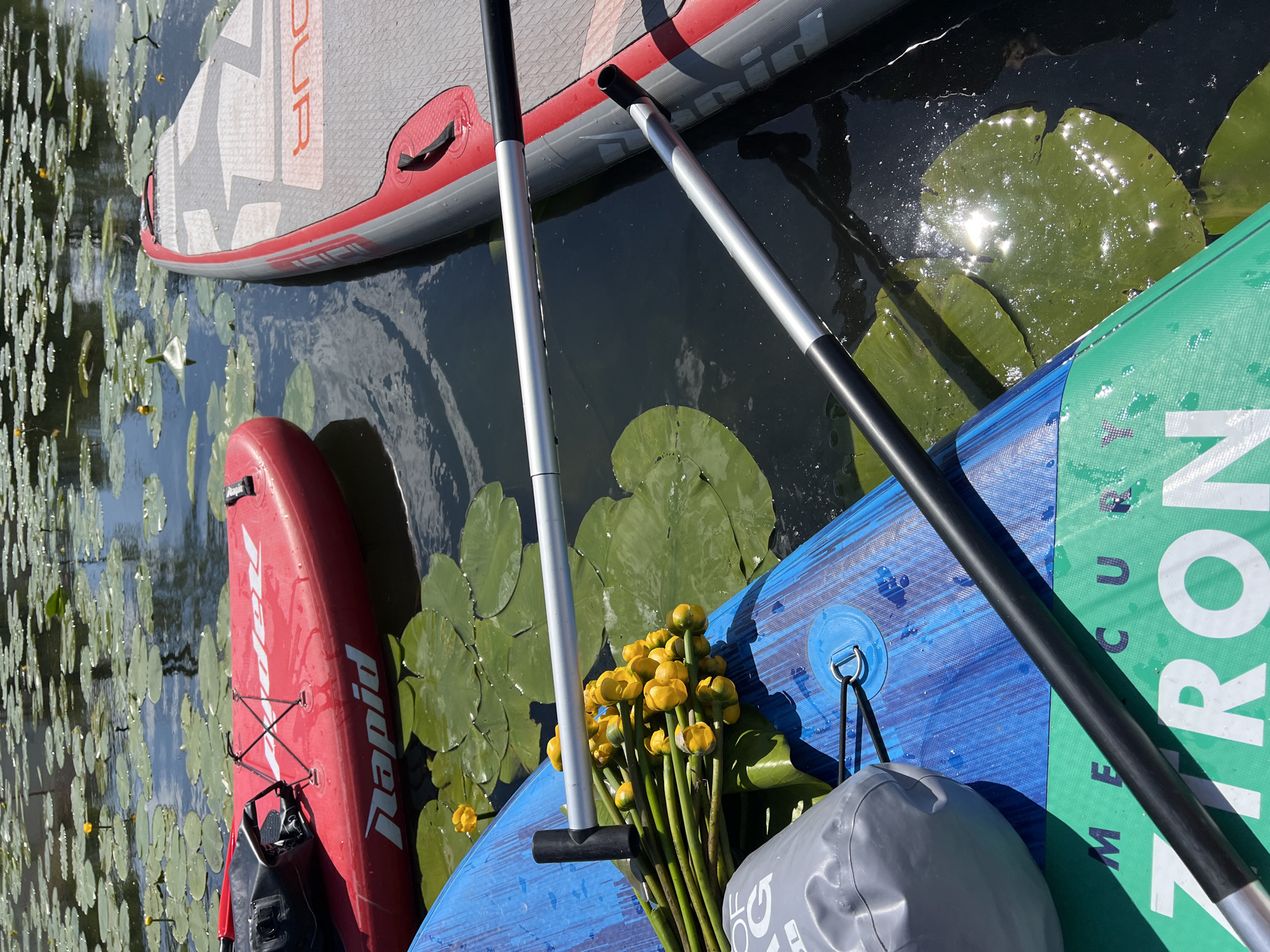 The image shows several stand-up paddleboards and a kayak resting on a body of water filled with lily pads and yellow water lilies. Two paddleboards are visible in the foreground, one blue and green, and another red and grey. A red kayak is positioned to the left of the blue paddleboard. Two paddles are resting on the blue paddleboard, and a bouquet of yellow water lilies is also placed on it. The water reflects the sunlight, and the sky is visible in the background, indicating it is daytime. The scene appears to be a natural setting within a city, likely a lake or river within Bila, Ukraine. There are no people visible in the image.