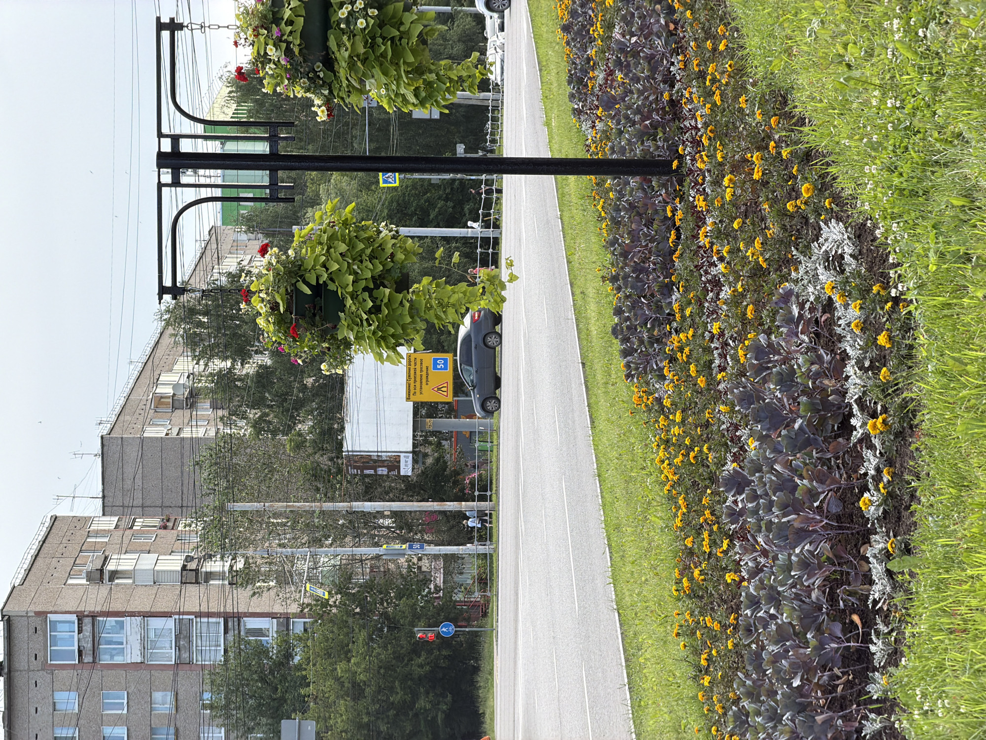 The image depicts a street scene in Izhevsk, Russia, likely during daytime. In the foreground, a well-maintained flowerbed features rows of dark purple ornamental kale and vibrant yellow marigolds, bordered by a strip of lush green grass. Behind the flowerbed, a multi-lane road is visible with a grey car driving on it.
Across the road, a black metal lamppost supports two large hanging baskets overflowing with green foliage and red and white flowers. Beyond the lamppost, a metal fence separates the road from a sidewalk where several pedestrians are walking. A traffic light shows a red signal, and a pedestrian crossing sign is present.
In the background, imposing Soviet-era apartment buildings with grey concrete facades and numerous balconies dominate the skyline. Green trees line the street, interspersed with power lines and utility poles. A billboard with Russian text is also visible. The sky is overcast, suggesting a cloudy day. The overall impression is of an urban environment with attention to landscaping.