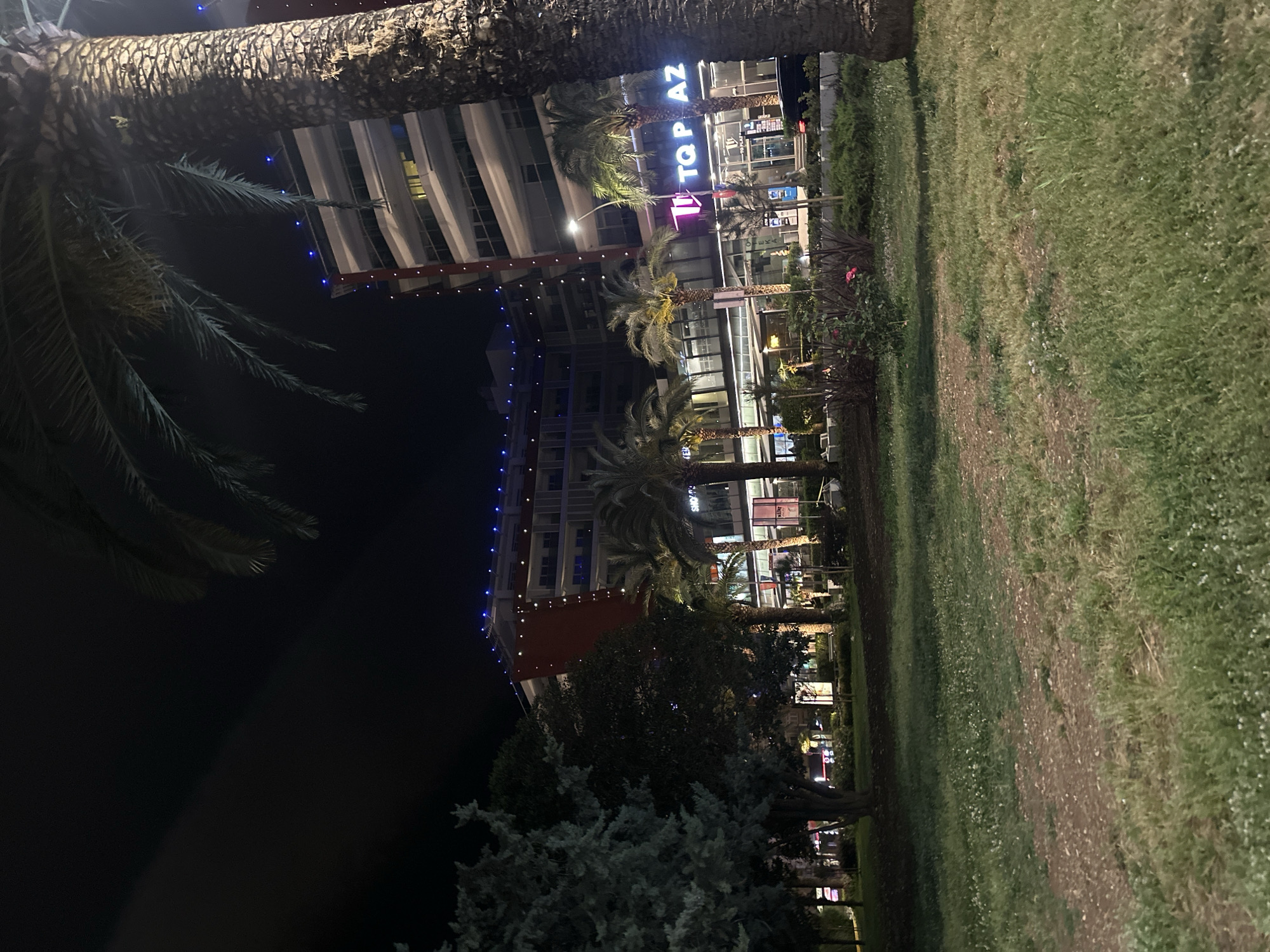At night, a view of the TQ Plaza in Budva, Montenegro is visible. Tall palm trees are positioned on either side of the frame. The building is lit up, showcasing its architectural details. Green grass lines the ground.