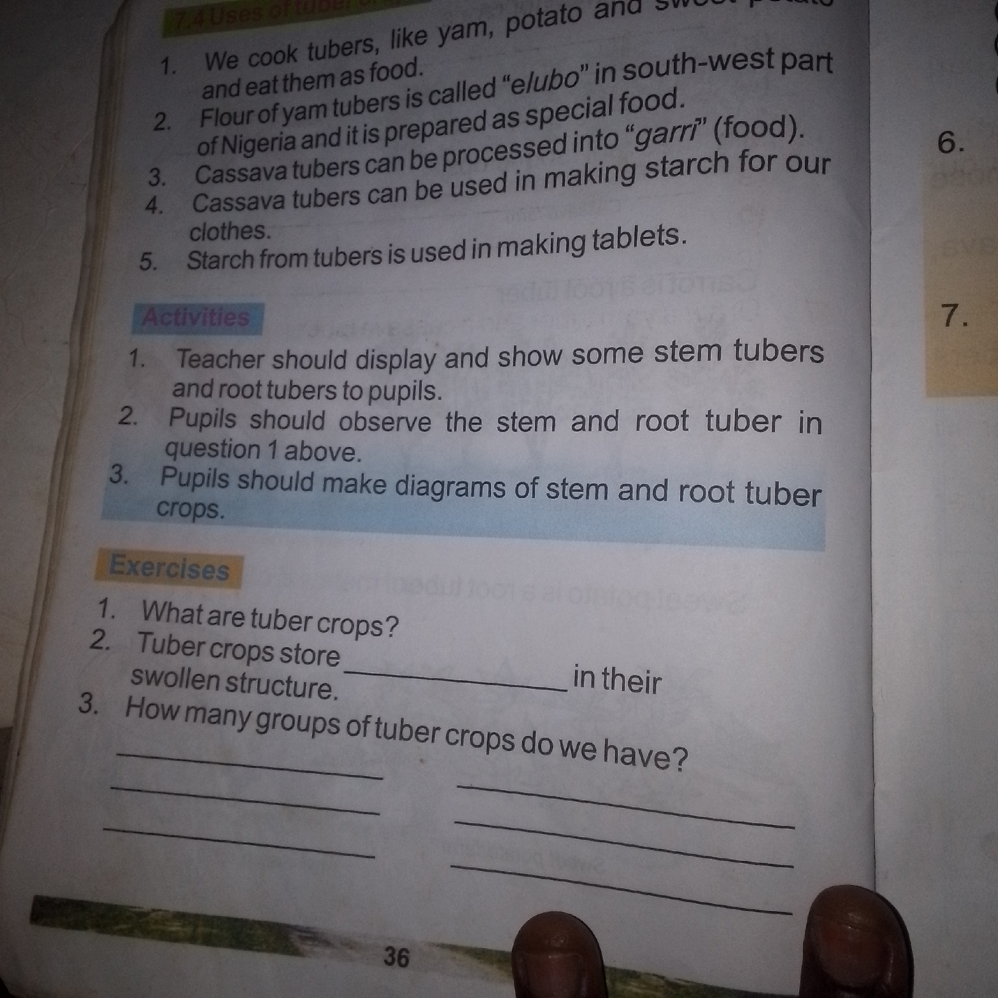 The image is a close-up shot of a page from a book, likely a textbook, featuring printed text and some handwritten lines for answers. The page is sectioned into "Uses of tubers," "Activities," and "Exercises." The "Uses of tubers" section lists five points, describing various uses of tubers like cooking, processing into food, and making starch. The "Activities" section has three numbered points, suggesting tasks for a teacher and pupils. The "Exercises" section contains three numbered questions. The first question asks "What are tuber crops?", the second is a fill-in-the-blank question about tuber crops storing something in their "swollen structure," and the third asks "How many groups of tuber crops do we have?". The lighting suggests indoor lighting, possibly from a flash or overhead light, causing some glare on the page. The overall impression is that of an educational document.