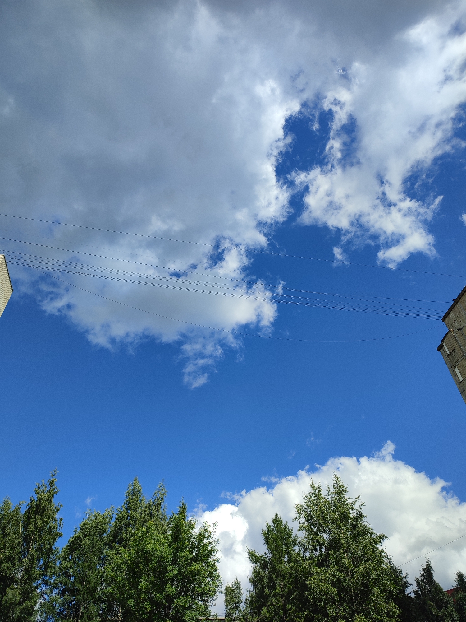 The image depicts a bright, daytime scene with a vivid blue sky partially obscured by scattered clouds. In the foreground, the tops of several lush green trees are visible, suggesting an outdoor environment. Two buildings, one on the left and one on the right, are partially visible at the edges of the frame, indicating an urban or suburban setting. Several power lines crisscross the sky, adding to the urban context. The image appears to have been taken from a low angle, looking upwards. The overall impression is one of a clear, partly cloudy day in Vsevolozhsk, Russia.