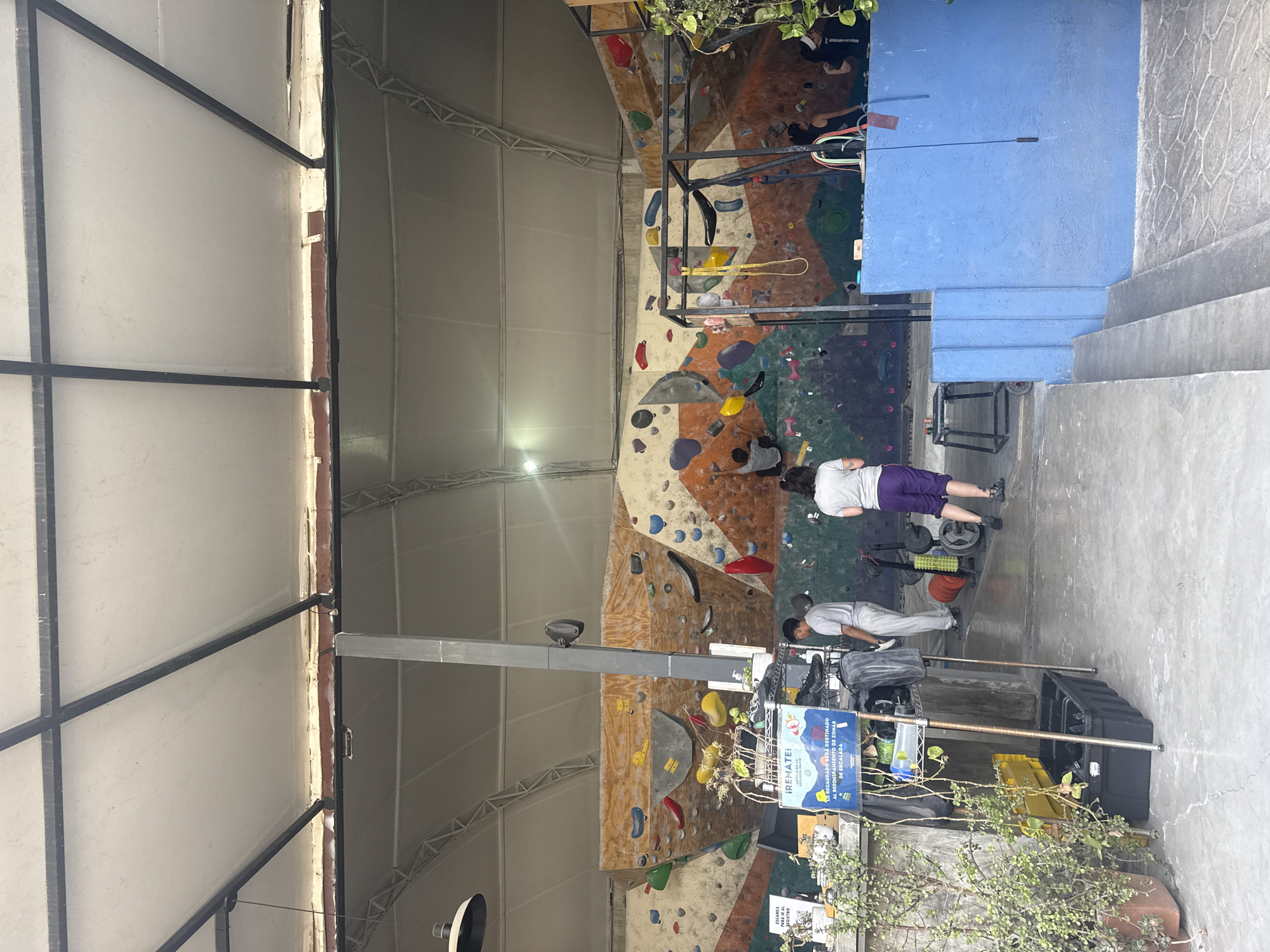 Here is a description of the image:
The image shows the interior of a climbing gym. A large, colorful climbing wall dominates the scene, with various routes marked by different colored holds. There are people on the floor near the wall. A person in purple shorts appears to be working with some weights. A plant sits near a metal rack, on which there is a blue sign with the words "IREMATE!" on it, along with other Spanish text about funds being allocated to re-equipping climbing areas. The walls of the gym are pale. The ceiling consists of a framework of metal beams supporting fabric. Natural light filters into the space. The photo appears to be taken indoors, possibly in San Andrés Cholula, Mexico, based on the writing on the sign.