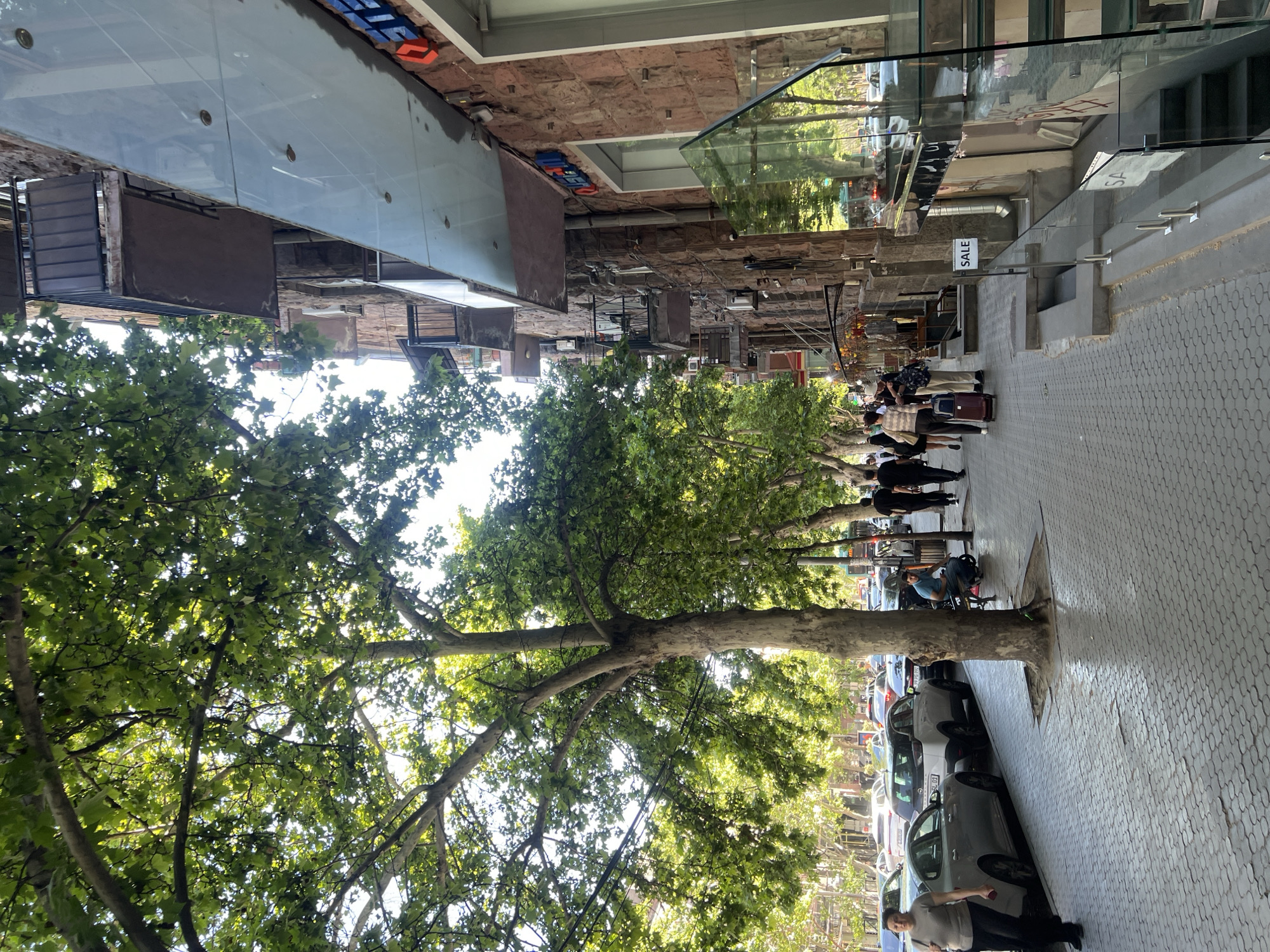The image depicts a street scene in Yerevan, Armenia. A large, mature tree with dense green foliage dominates the left side of the frame, its trunk running vertically along the edge of the sidewalk. The sidewalk is paved with grey bricks and runs parallel to the street. A group of people is walking along the sidewalk, some pulling suitcases, indicating possible tourists or travelers. Cars are parked along the curb. Buildings line the right side of the street, with storefronts visible, including a glass-fronted entrance displaying a "SALE" sign. The buildings are constructed of reddish-brown stone. Overhead, there are building overhangs and metal structures. The overall impression is of a vibrant urban setting.