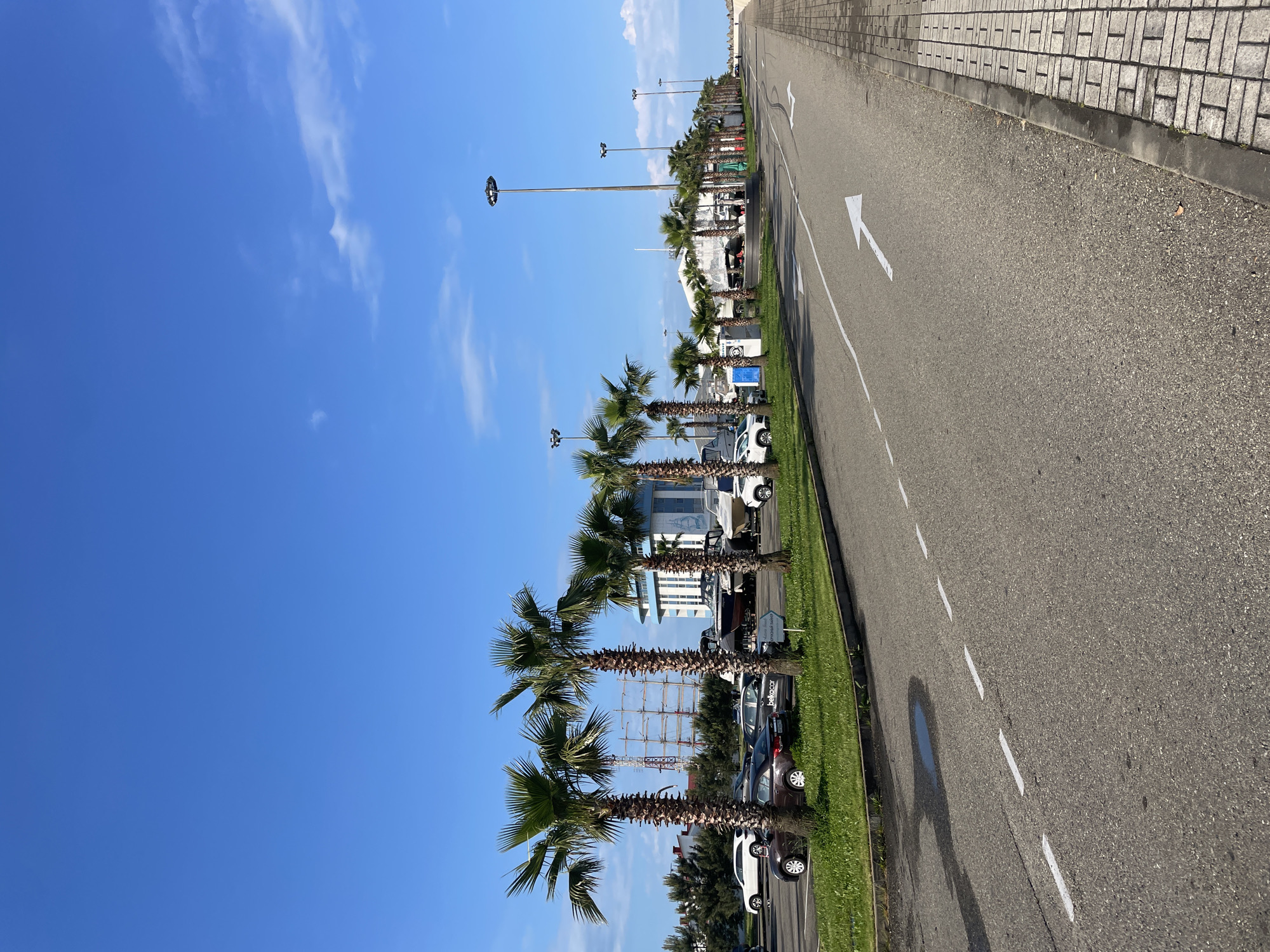 The image shows a street in Sochi, Russia, lined with palm trees and parked cars. The road is asphalt with white directional arrows and dashed lane markings. A grassy strip separates the road from a sidewalk constructed with rectangular concrete blocks. Streetlights are visible in the background. The sky is blue with scattered clouds. The overall scene depicts a typical coastal road in a subtropical climate.