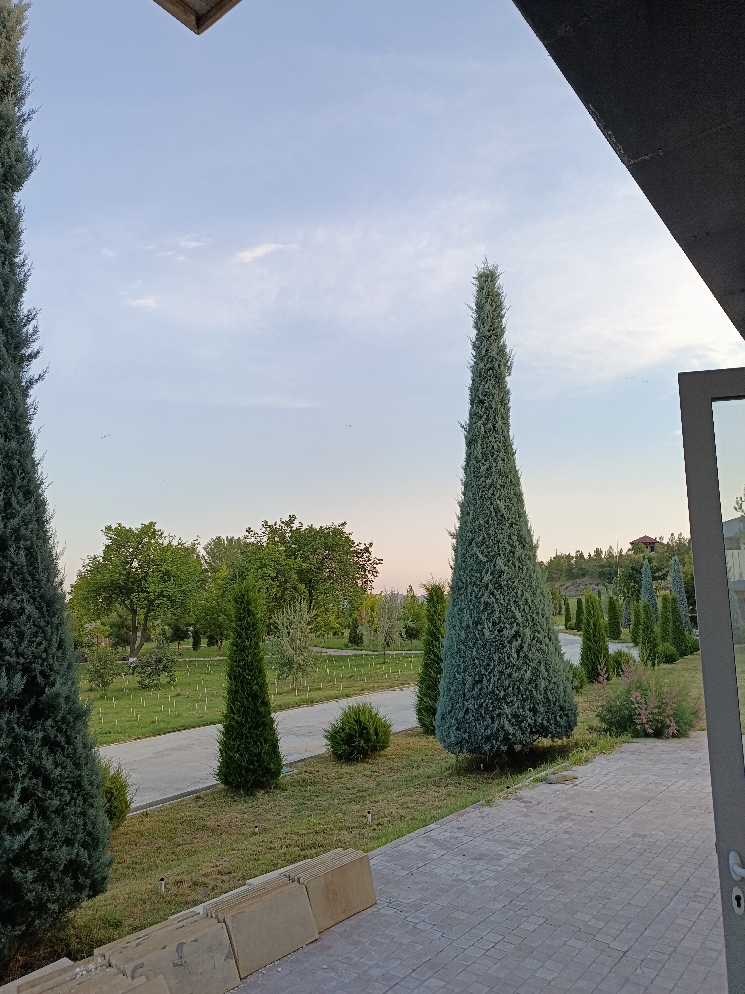 The image depicts an outdoor scene in the city of Gulshan, Uzbekistan, at what appears to be dusk or early morning given the lighting. In the foreground, a paved walkway made of rectangular stone tiles leads into the frame. To the left of the walkway, a stack of large, flat stone slabs rests on the ground. A portion of a building's dark, angular roof structure extends from the top right of the image, casting a shadow.
The landscape is characterized by well-maintained greenery. Several tall, slender evergreen trees, possibly cypress or juniper, are strategically placed. One particularly prominent, mature evergreen tree stands to the left, while another very tall, conical evergreen dominates the center-right of the image. In the middle ground, a paved path winds through a grassy area dotted with small, vertical white markers. Beyond this, a variety of deciduous trees with full green foliage are visible, suggesting a park or garden setting. In the background, a gentle slope is covered with trees and shrubs, with a small red-roofed building visible on the crest of the hill. The sky is a pale blue with a few wispy clouds, and several small, distant birds are visible in flight. No people are present in the scene.