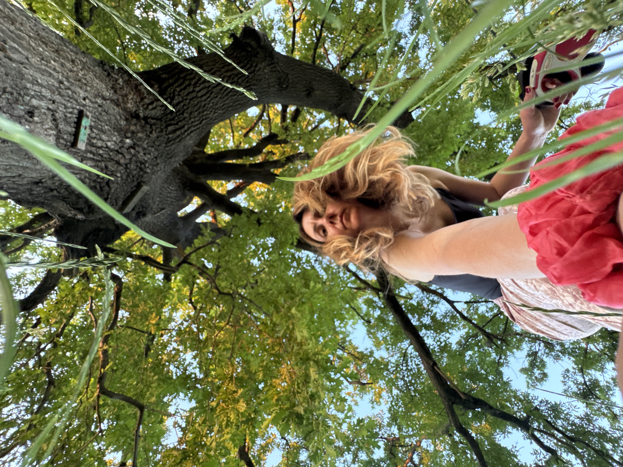 An extreme low-angle, wide-shot photograph captures a woman from below, standing near the base of a large tree. The woman, with wavy blonde hair and a serious expression, is wearing a black tank top and a patterned skirt. Her right arm is extended towards the camera, holding a red object, possibly a piece of fabric, and a shoe with red accents. She is positioned amidst tall green grass, with the trunk of the tree dominating the background. Lush green leaves and branches of the tree extend upwards and outwards, framing the sky. The scene appears to be an outdoor natural setting, possibly a park or garden, given the presence of mature trees and vegetation. The lighting suggests it may be late afternoon or early evening, with sunlight filtering through the leaves. No specific landmarks or identifying features of Sofia, Bulgaria are visible in this image.