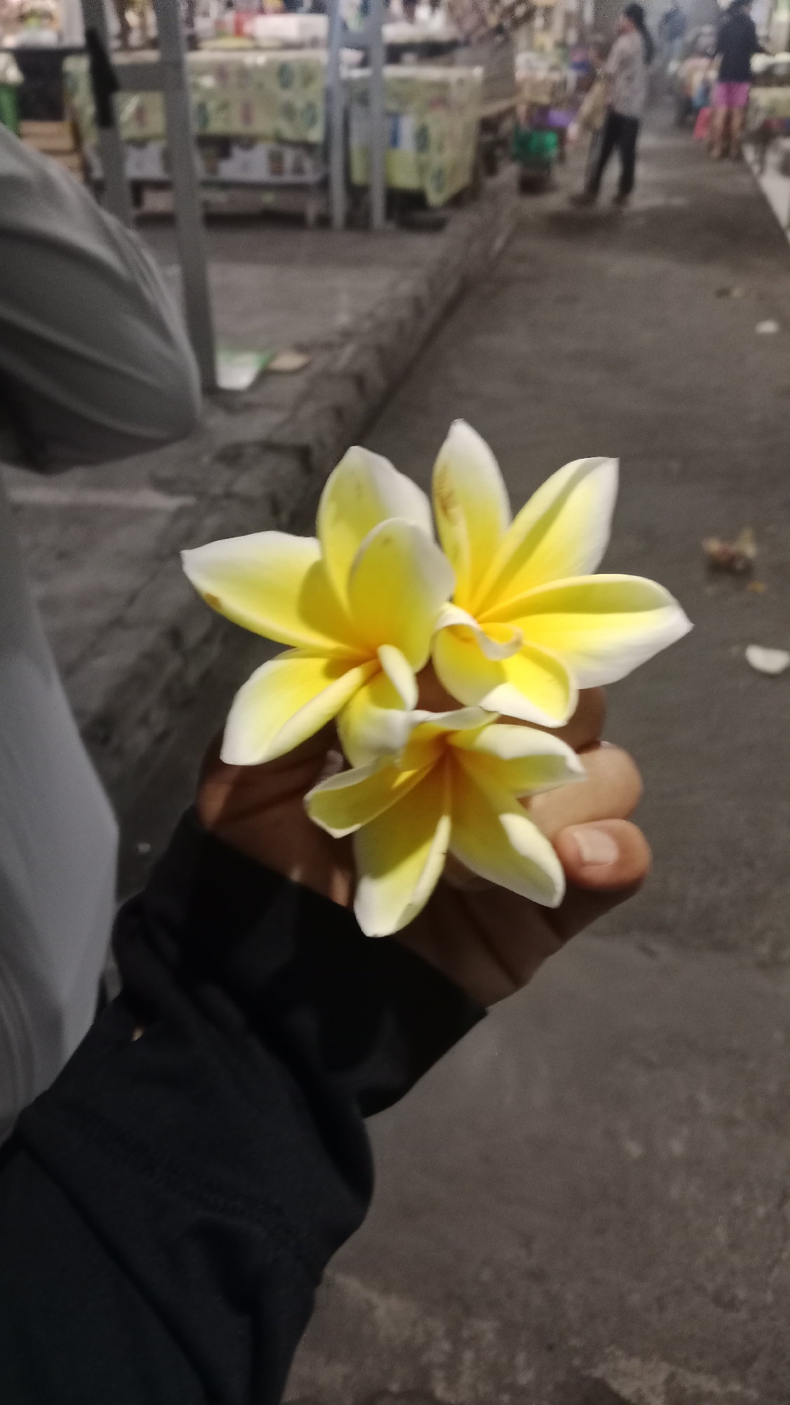 A close-up, vertical, medium shot captures a hand holding three yellow and white plumeria flowers. The hand, wearing a black long-sleeved garment, is positioned in the lower right quadrant of the frame. The background is blurred, depicting an outdoor market scene in Denpasar, Indonesia. Stalls with covered surfaces and indistinct figures of people browsing or working are visible. The ground appears to be paved with concrete.