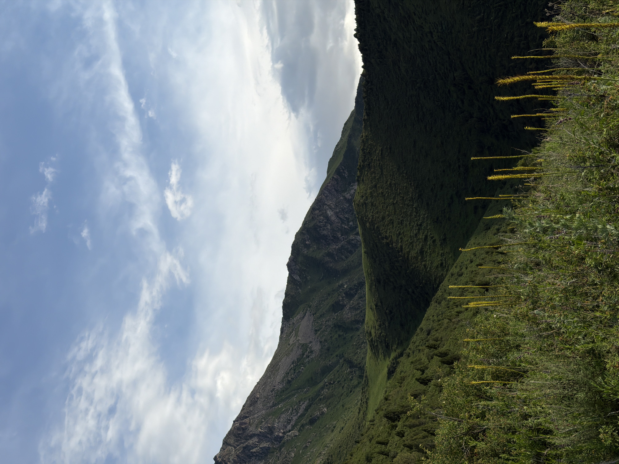 This image depicts a scenic mountain landscape in Kashka Suu, Kyrgyzstan. The foreground is dominated by a lush, green mountainside covered in dense vegetation and interspersed with tall, yellow wildflowers that rise like delicate spikes from the foliage. The mountain slopes upwards and recedes into the background. To the left, a rocky, less vegetated mountainside is visible, with a rugged texture and patches of scree.
Above the mountains, a dynamic sky unfolds with a mix of bright blue expanses and scattered clouds. Some clouds appear wispy and white, catching the sunlight, while others are larger and grayer, suggesting a partly cloudy day. The lighting suggests it is daytime, likely mid-morning or afternoon, with the sun illuminating the scene from the left, casting shadows on the mountains.
The overall mood is one of natural beauty and serenity. The vibrant greens and the contrast with the rocky slopes create a visually striking image. The scene captures a sense of wilderness and the grandeur of the mountainous terrain. There is no visible text in the image.