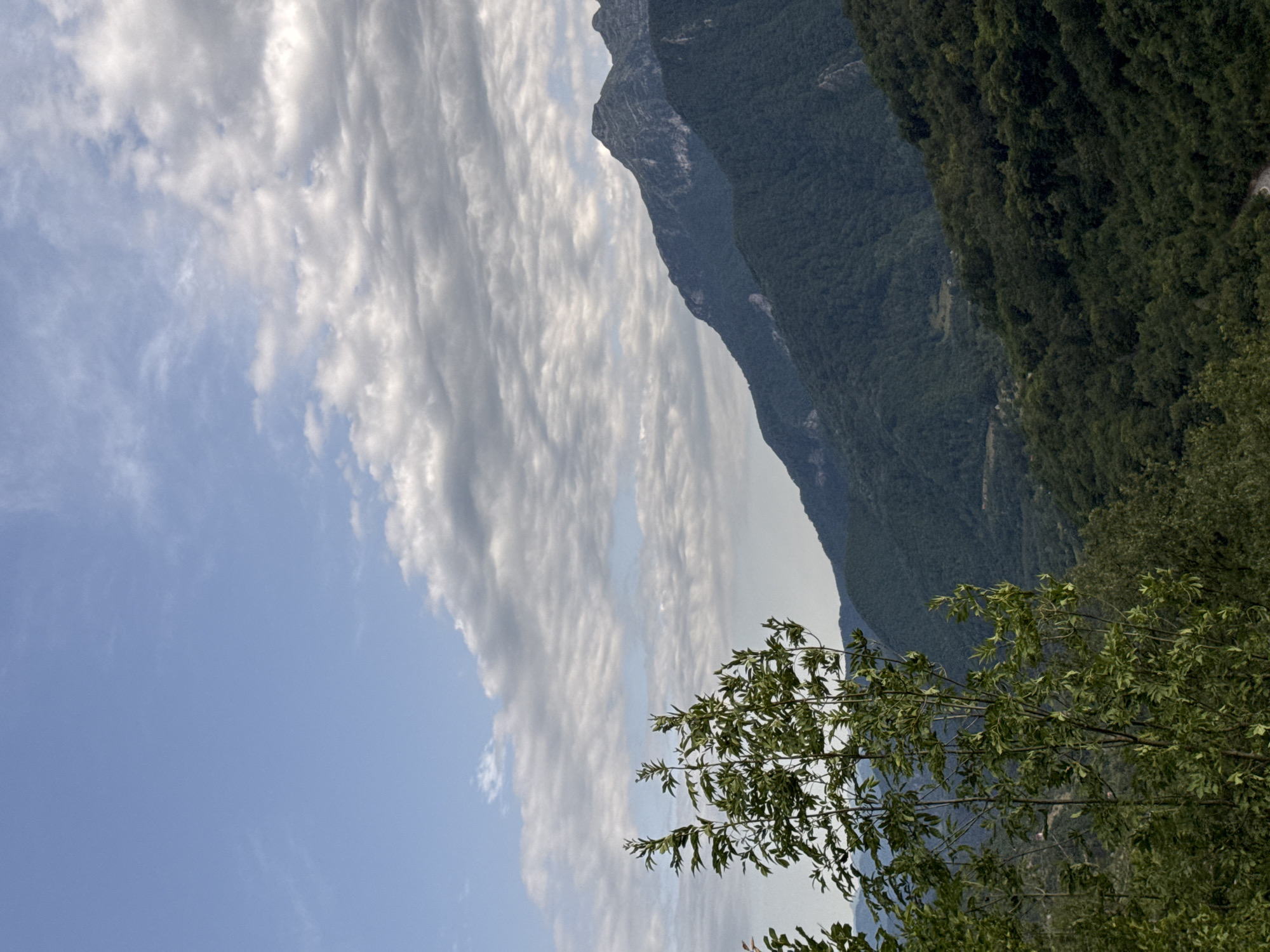 The image shows a mountainous landscape under a cloudy sky. In the foreground, there are green trees and foliage. Further in the background, there are lush green mountains and a prominent peak. The sky is a light blue with scattered, textured clouds. The overall scene depicts a natural, outdoor environment, likely in a rural or mountainous region. The image is a still photograph with no people or discernible actions taking place. The location is identified as Dragovića Polje, Montenegro.