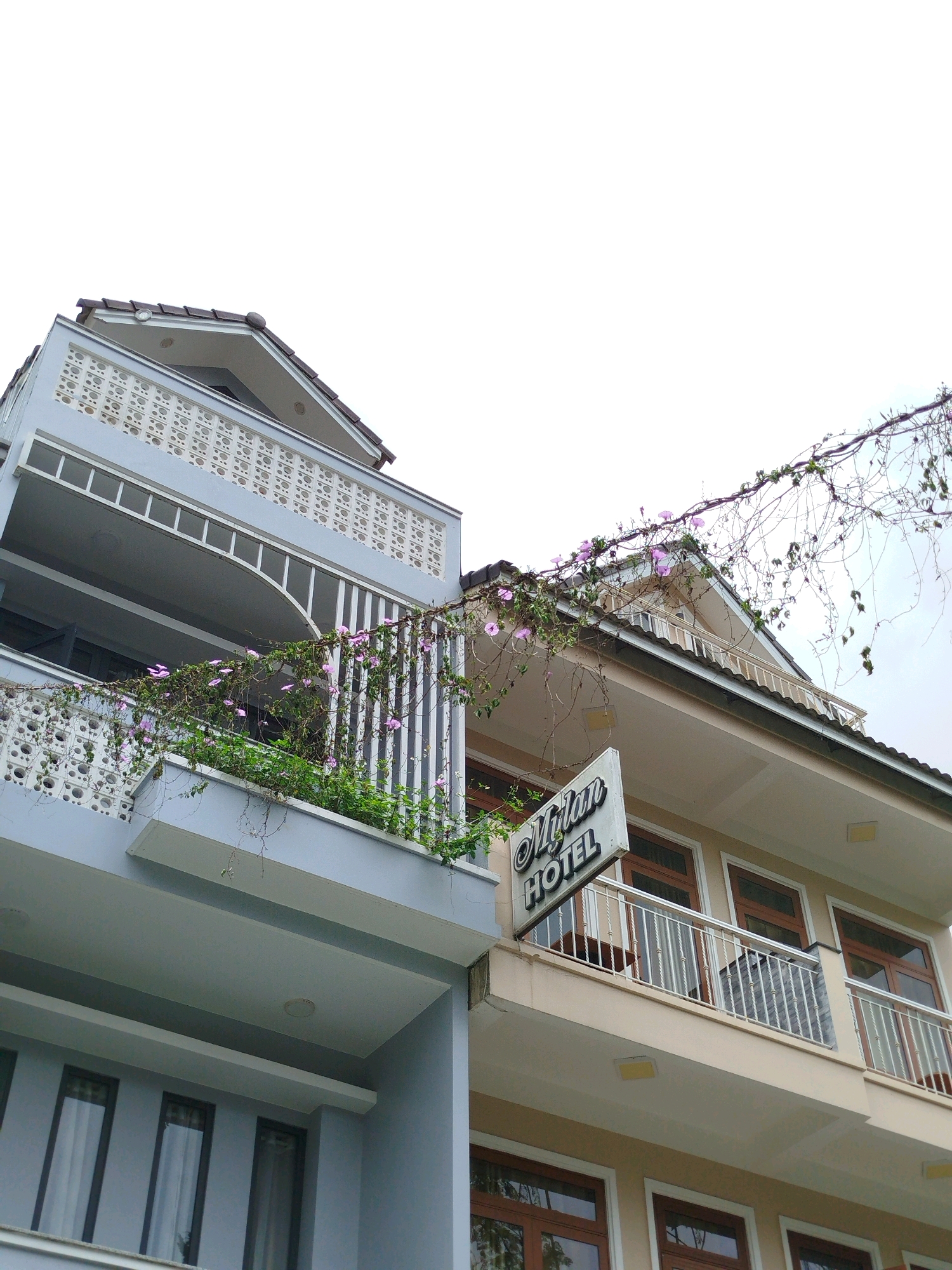In Da Lat, Vietnam, the "Mylan Hotel" sign is visible on the right side of the image, affixed to a beige building. This hotel features multiple balconies with white metal railings, and the building's facade is a light beige color. A dark-tiled roof crowns the structure. To the left, a complementary building in a light blue-gray color displays similar architectural elements, including balconies with decorative white lattice work and white metal railings. Both buildings are adorned with climbing plants bearing small purple flowers, which trail across the balconies and along the vine-covered wire stretched between them. The sky above is overcast and white, suggesting a cloudy day.