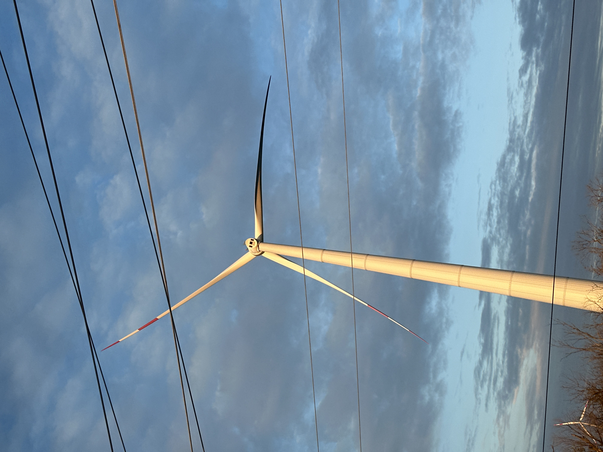 The image shows a wind turbine with three blades against a cloudy sky. Power lines are visible in the foreground, intersecting the view of the turbine. Parts of a bare tree are visible on the right of the image. The red markings on one blade indicate it is a wind turbine.
While wind farms can be found in the Zimovniki region, the picture does not have the specific data to verify the exact location.