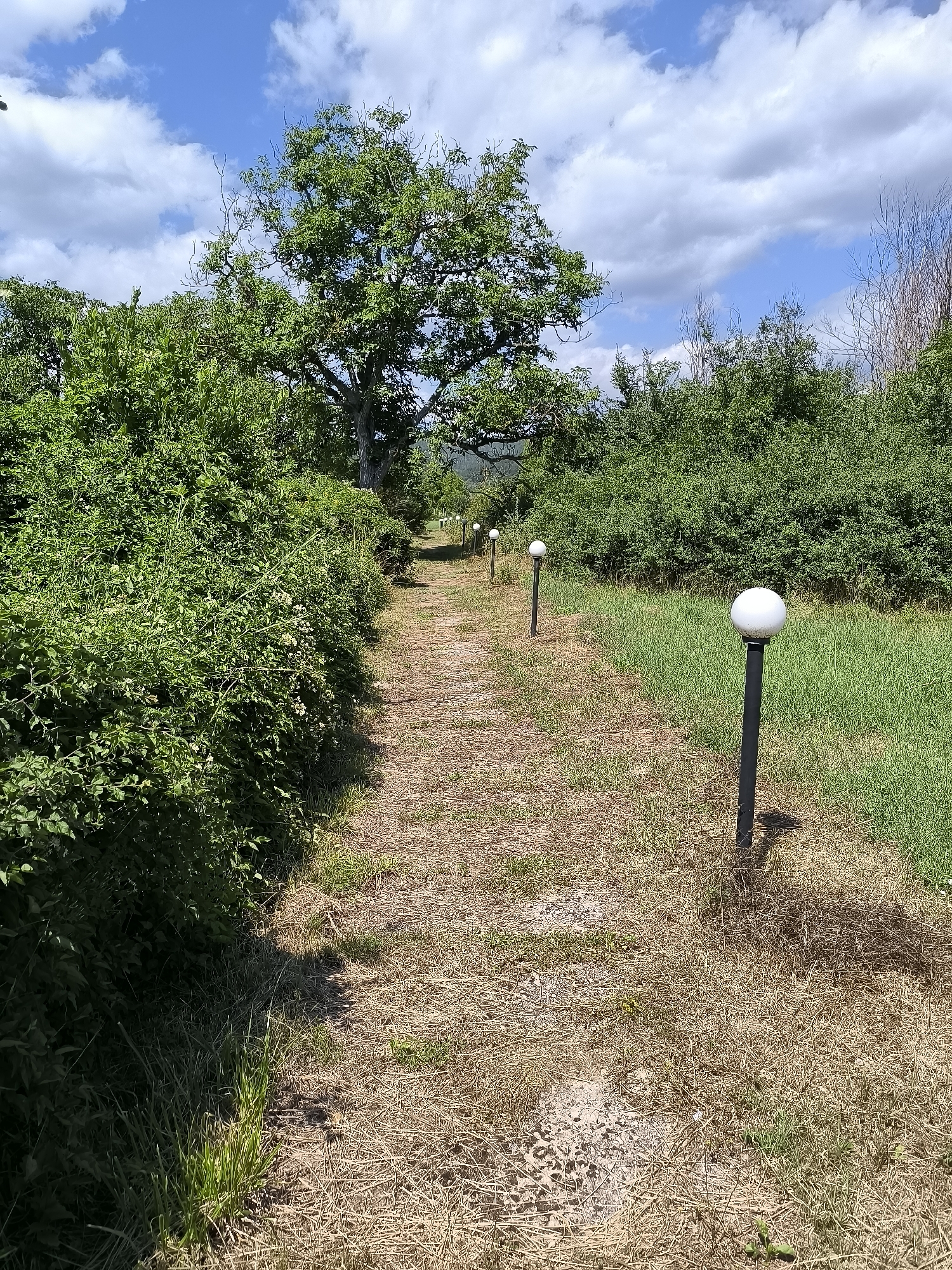 The image shows a dirt path lined with dense green bushes on the left and a grassy field on the right. Several modern-looking lampposts with white spherical lights are placed at intervals along the right side of the path, receding into the distance. A large tree with full foliage is visible in the background, behind the bushes. The sky is blue with scattered white clouds. The overall impression is a rural or park-like setting. The location is identified as Garmen, Bulgaria. There are no people visible in the image.