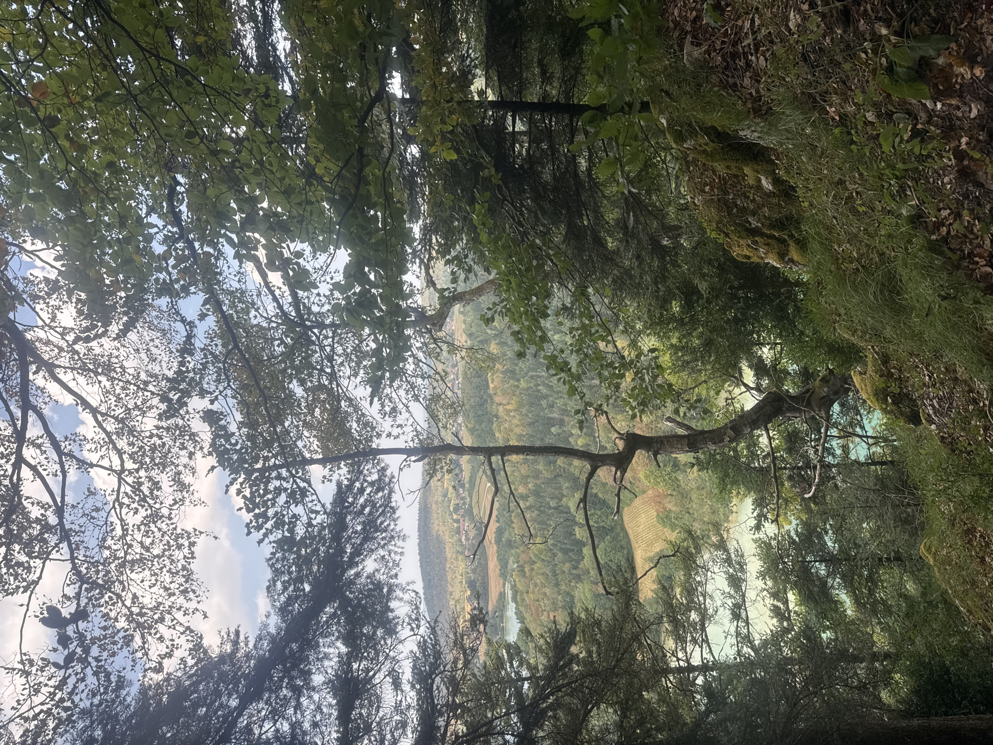 The image is a natural landscape view from a wooded area overlooking a valley in the vicinity of La Chaux-du-Dombief, France. The foreground is dominated by the dense foliage of trees, with branches and leaves framing the view. In the mid-ground, a serene body of water, possibly a lake or river, exhibits a turquoise hue. Beyond the water, rolling hills covered in a mix of deciduous and coniferous forests stretch towards the horizon. Patches of cultivated land, appearing as terraced fields, are visible on the slopes. A small village or cluster of houses can be seen nestled among the trees in the distance. The sky above is partly cloudy, with patches of blue sky interspersed with white clouds. The overall impression is one of a tranquil, natural environment.