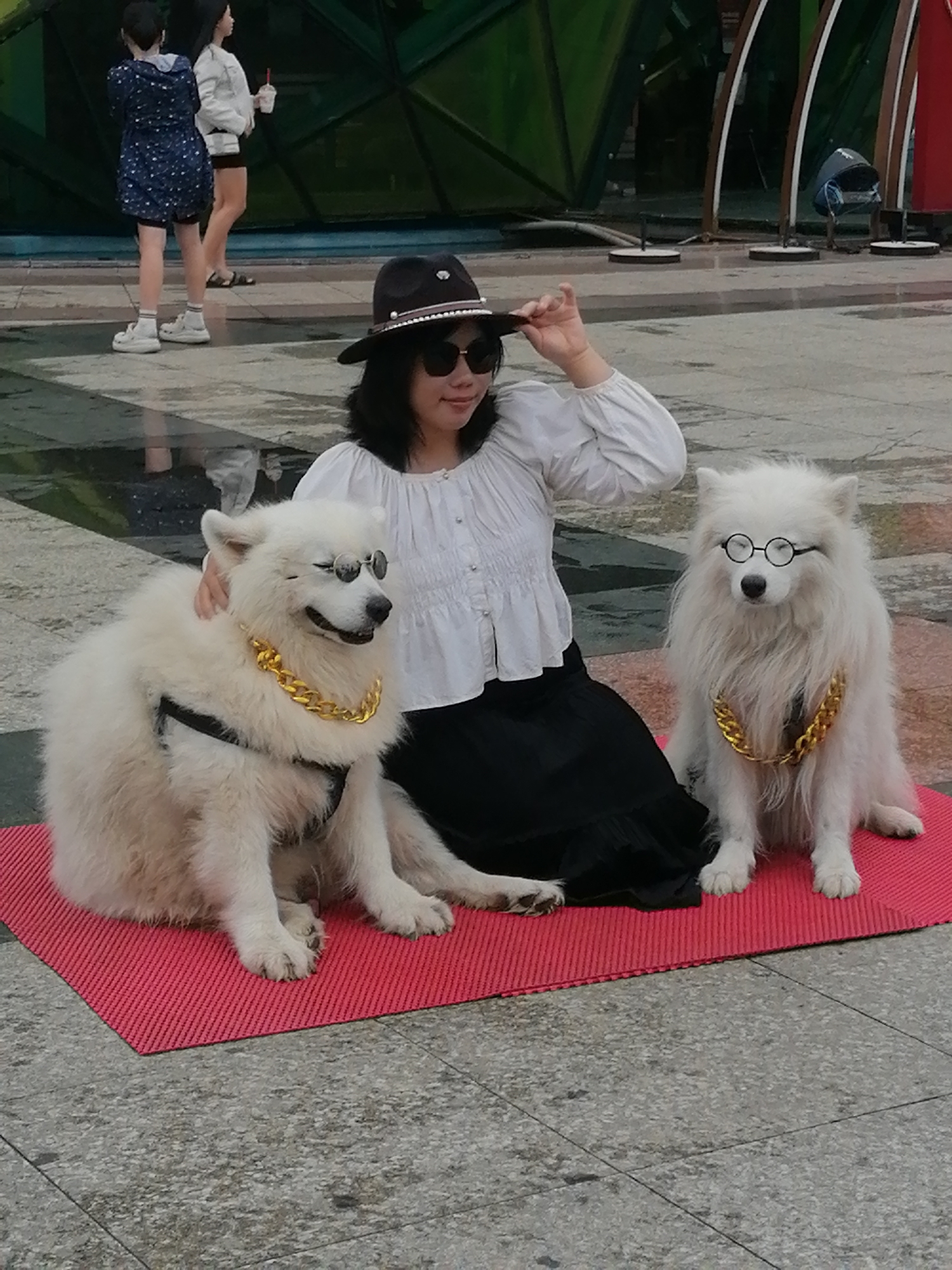 The image depicts a woman sitting on a red mat with two fluffy white dogs in front of her. The woman is wearing a white ruffled blouse, a black skirt, and a dark-brimmed hat with a band. She is also wearing sunglasses and has her hand on the brim of her hat. Both dogs are wearing round, gold-rimmed glasses and large gold chain necklaces. The dog on the left has its eyes closed, while the dog on the right looks directly at the camera. In the background, two young women are standing and looking away from the camera. The ground appears to be paved with grey square tiles, and there is a wet area in front of them, suggesting a fountain or recent rain. Behind the subjects, there are some colorful, geometric structures and a trash bin. The scene appears to be an outdoor public space, possibly a plaza or park. There is no direct indication within the image that it is located in Da Lat, Vietnam.
