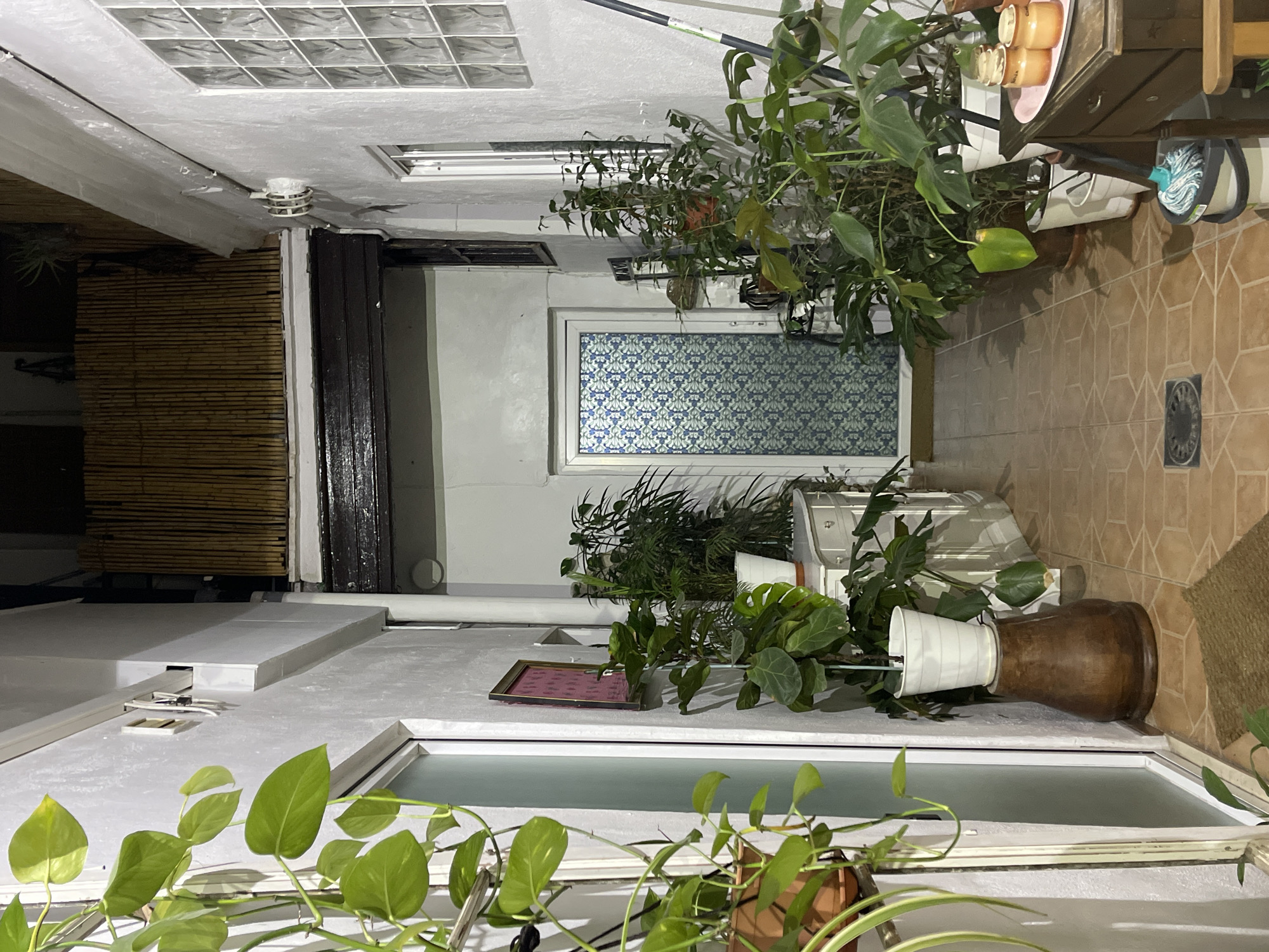 The image depicts an interior courtyard or patio space in Jerez De La Frontera, Spain. The space is enclosed by white walls, punctuated by a window with decorative blue and white patterned glass. The ground is covered with brown tiles in a geometric pattern. A variety of potted plants are present, including a large Monstera Deliciosa, adding greenery to the space. A table with mugs is visible. The overall impression is of a well-maintained, lived-in courtyard or patio space.