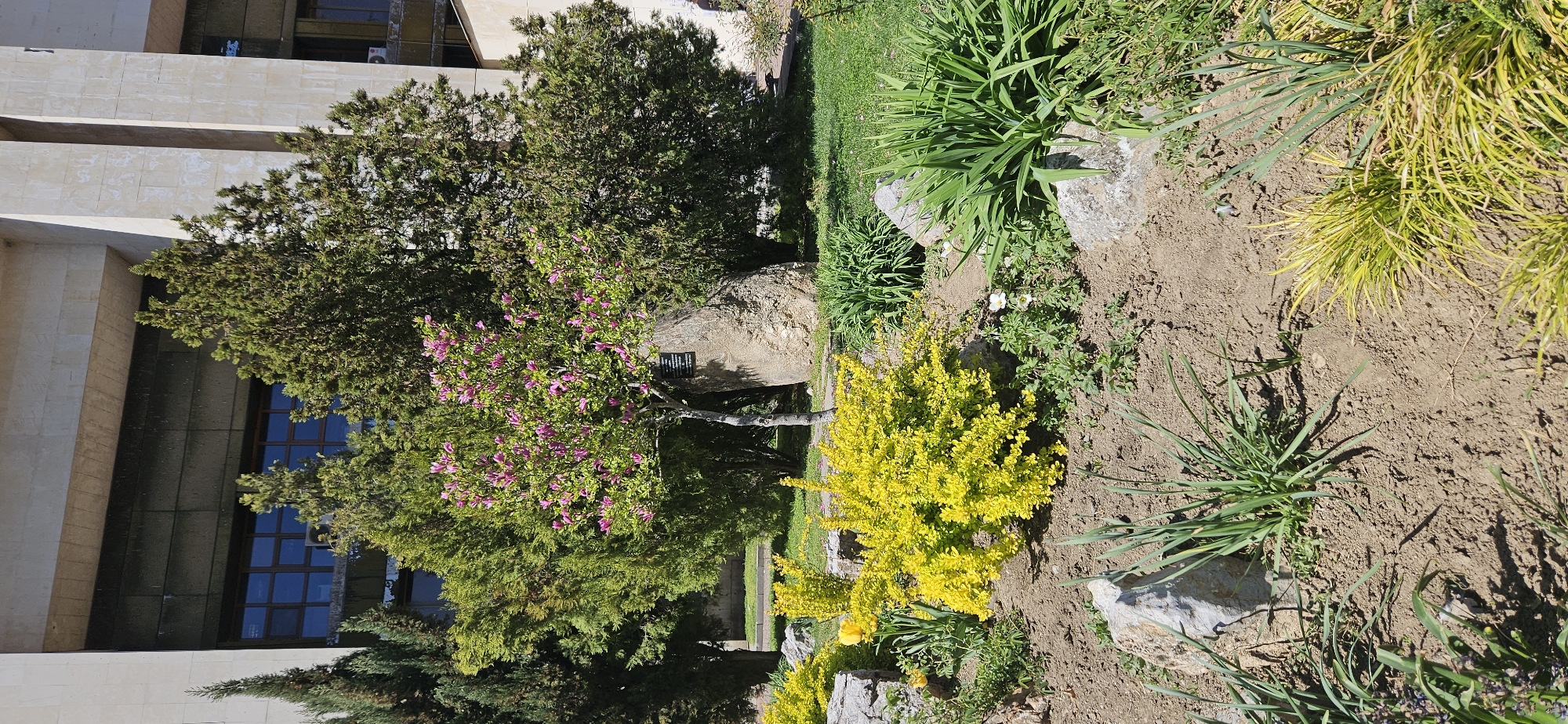 The image shows a garden in Blagoevgrad, Bulgaria, with a building partially visible on the left side. The garden features a variety of plants and trees, including a tree with pink flowers, yellow bushes, and green leafy plants. There are also some rocks interspersed among the plants. The ground is covered with soil. The building in the background appears to be made of beige stone.