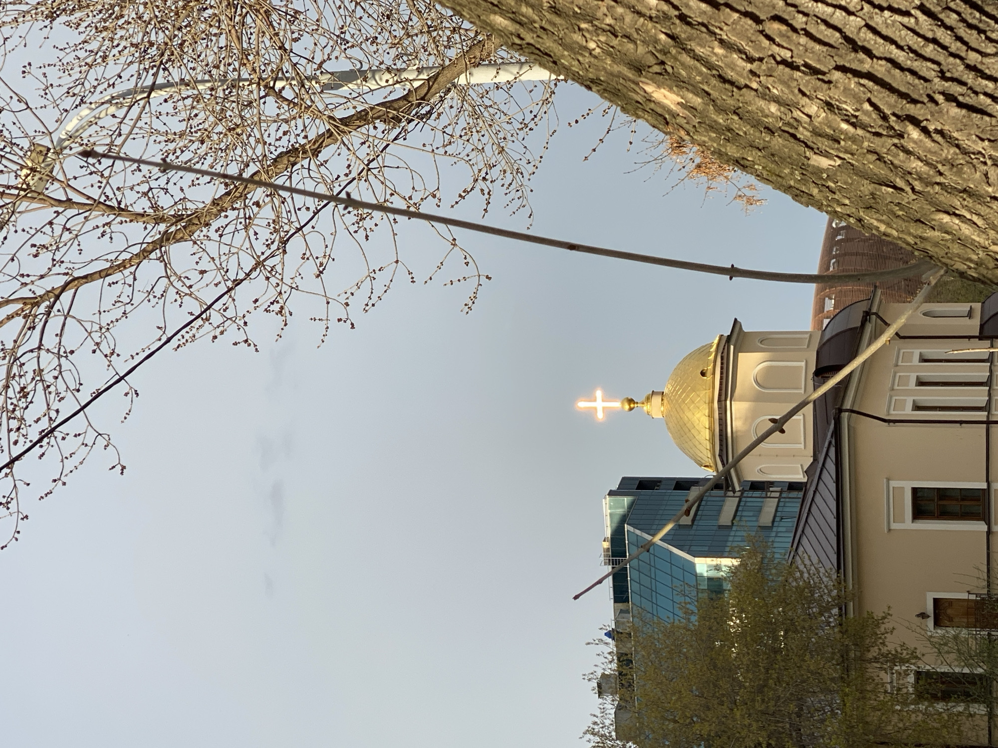 This image presents an upward-looking view of an urban scene in Yekaterinburg, Russia, framed by trees against a clear, bright sky.
In the foreground, a large tree trunk with deeply textured bark dominates the right side of the frame. Its bare branches, covered in numerous small, nascent buds, extend across the upper and left portions of the sky, suggesting an early spring or late winter season. A thin, dark cable or wire stretches diagonally from the upper left across the sky.
In the mid-ground, a prominent golden-domed church, topped with a brightly glowing cross, stands out against the pale blue sky. To the immediate right of the church, a section of a cream-colored building with a dark brown roof and visible windows can be seen. Behind the church and slightly to its left, a modern high-rise building with reflective blue glass facades rises, mirroring the sky. A small amount of green foliage from another tree is visible towards the bottom of the frame, near the base of the buildings.
The clear sky and bright illumination on the church dome and cross indicate a sunny day, likely during the morning or afternoon. There are no people visible, and no specific activity is taking place, conveying a sense of urban tranquility. The architectural styles, particularly the Orthodox church, are consistent with the given location context. No visible text is present in the image.