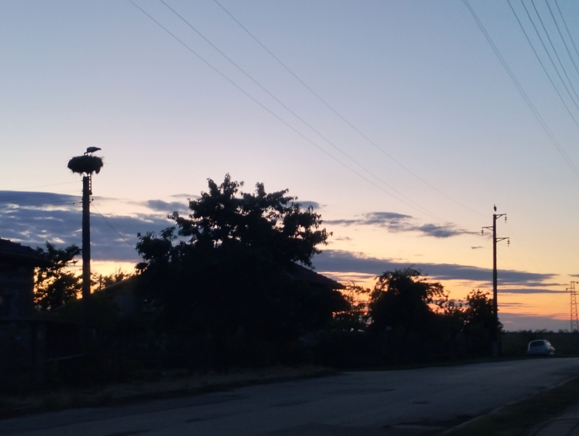 A silhouette of a stork perched on its nest atop a utility pole is visible against a twilight sky. The nest is situated on a tall, dark pole, with the bird facing to the left. The sky transitions from a pale blue at the top to hues of orange and pink near the horizon, dotted with wispy clouds. In the foreground, silhouetted trees and structures are dimly lit. A road runs across the lower portion of the image. In the background, another utility pole is visible, and a small vehicle is parked on the side of the road.