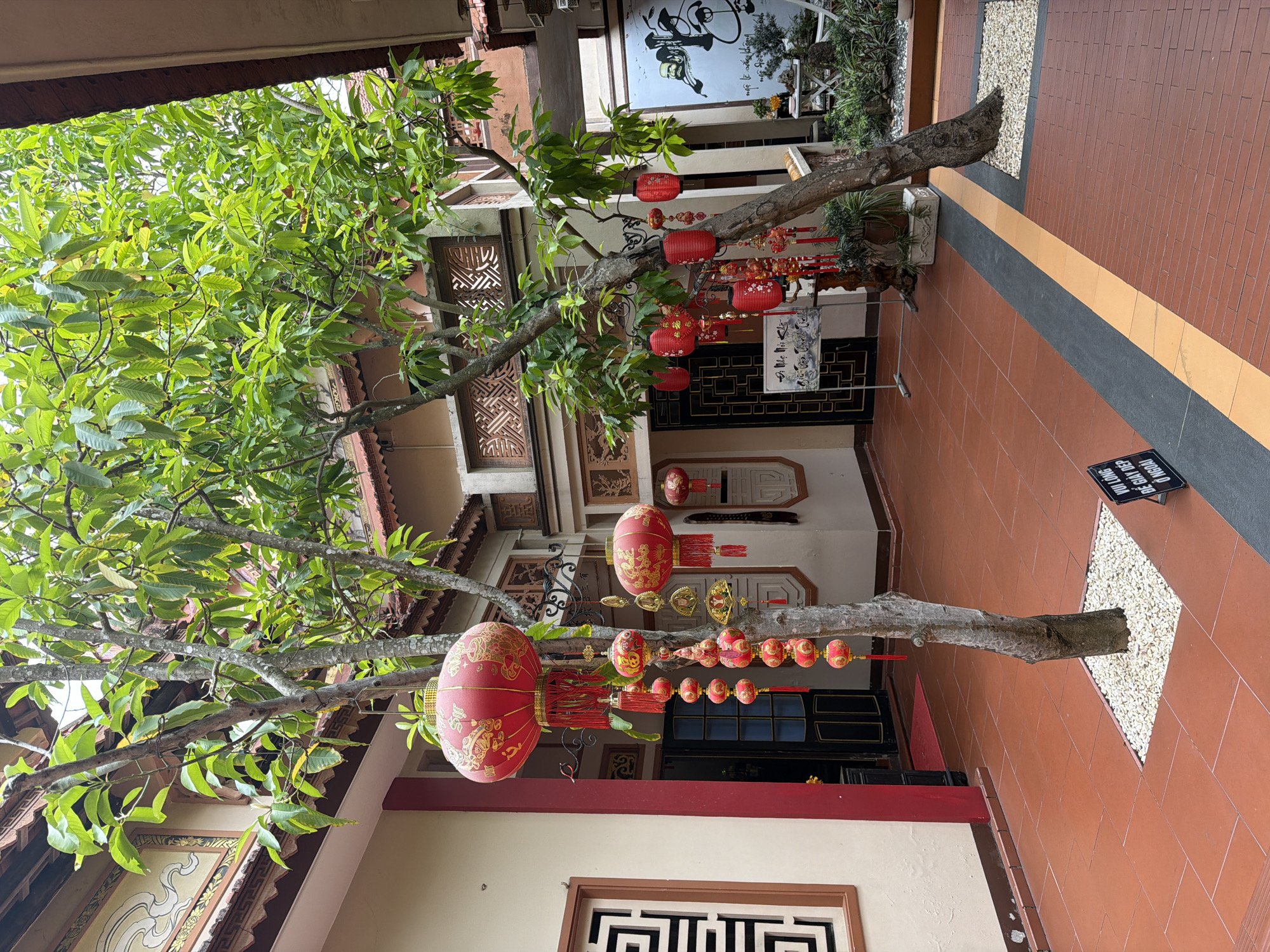 The image depicts an outdoor courtyard in Hoi An, Vietnam, likely at a temple or traditional building. Two trees with lush green foliage are central to the scene, adorned with numerous red lanterns and intricate gold decorations, suggesting a festive occasion, possibly Lunar New Year. The courtyard is paved with terracotta tiles, bordered by a pathway of darker tiles and a striking yellow stripe. Buildings with traditional Vietnamese architecture, featuring red trim and ornate details, surround the courtyard. In the background, a large mural with calligraphic art is visible. The scene is empty of people.