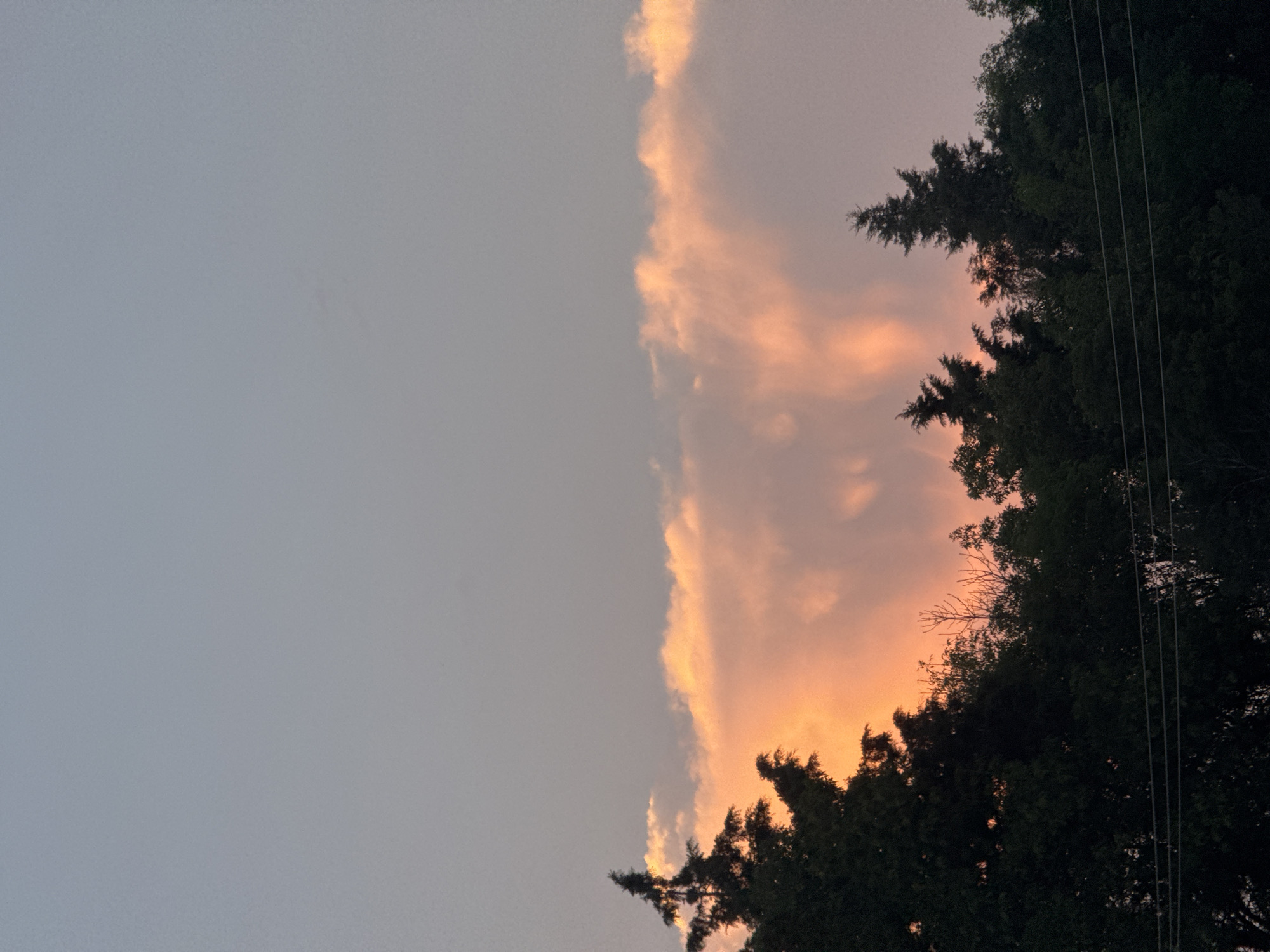 The image depicts a sky at twilight or sunset. On the left, the sky is a pale gray-blue. On the right, the sky transitions into orange and pink hues, indicative of the setting sun. Tree foliage is silhouetted in the lower and right portions of the image, and some power lines are visible through the trees on the right. This scene may be in Chipilo de Francisco Javier Mina (Chipilo), Mexico.