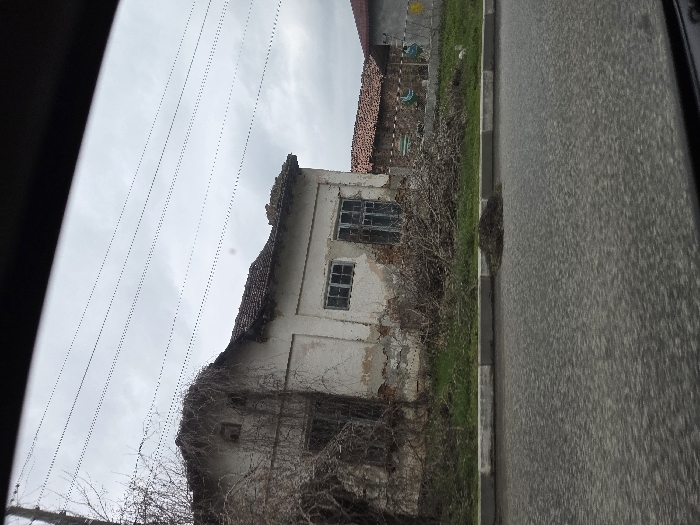 The image displays a static street scene in Asenovo, Bulgaria, under an overcast sky. In the immediate foreground, a dark asphalt road surface, appearing textured, leads to a curb painted with white and grey/black stripes. On the grassy verge immediately behind the curb, a small, dark mound of organic debris, likely dried vegetation, is present.
The midground is dominated by a dilapidated, single-story building constructed with light-colored plaster or stucco walls. The facade exhibits significant peeling paint and exposed underlying material. The building features a multi-pane tiled roof, with visible damage or disrepair along the eaves. Bare, leafless vines or branches extensively cover the left side of the building and its roofline. Multiple windows are visible: a larger, dark opening on the far left, a central rectangular window with multiple panes, and a taller, multi-pane window towards the right. To the right of this primary structure, a portion of another building with a reddish-brown tiled roof is partially visible. Further right, behind the grassy area, a fence or barrier is present, from which several blue and yellow plastic objects appear to be suspended.
The background consists of a uniform grey, overcast sky. Multiple thin, dark utility lines stretch horizontally across the upper portion of the frame. On the far left, a bare, deciduous tree with numerous branches is visible. No people are present, and no overt actions or interactions are depicted within the scene.