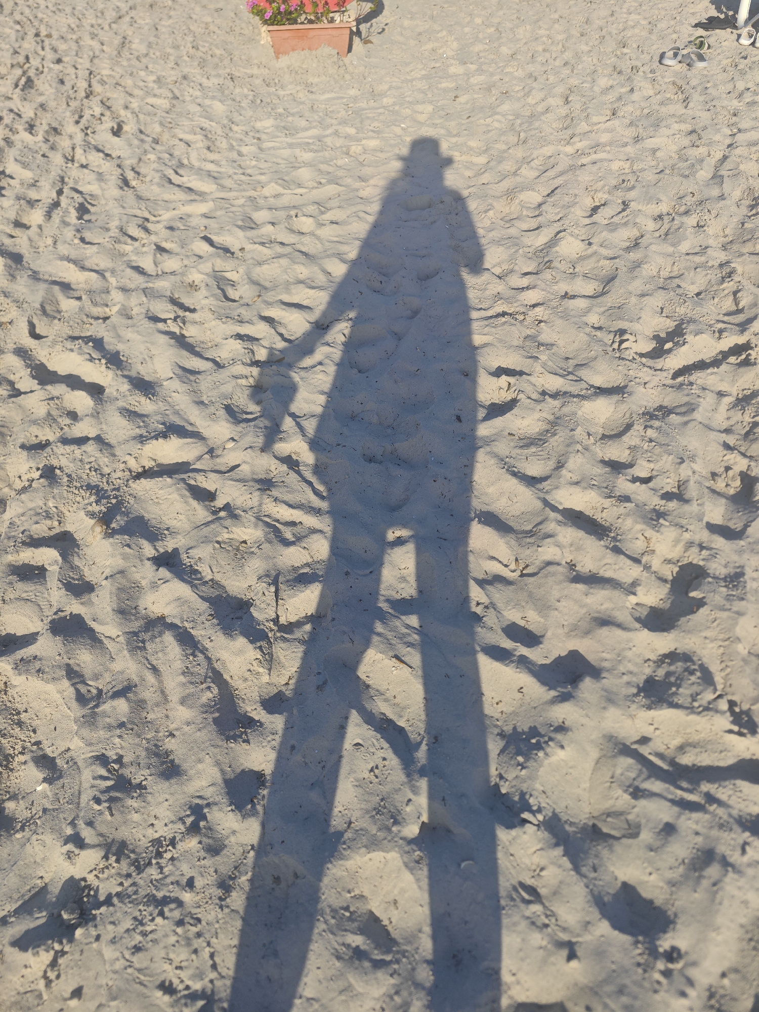 The image shows a shadow of a person standing on a sandy surface, likely a beach. The person is wearing a hat and holding an object in their right hand. The sand is textured with ripples and footprints, indicating it is a natural environment. In the background, a planter with pink and red flowers is visible. The overall scene suggests a sunny day, possibly at a beach in Mahdia, Tunisia, given the hint provided. The shadow is cast by a person who appears to be standing near the water, as suggested by the presence of a beach setting.