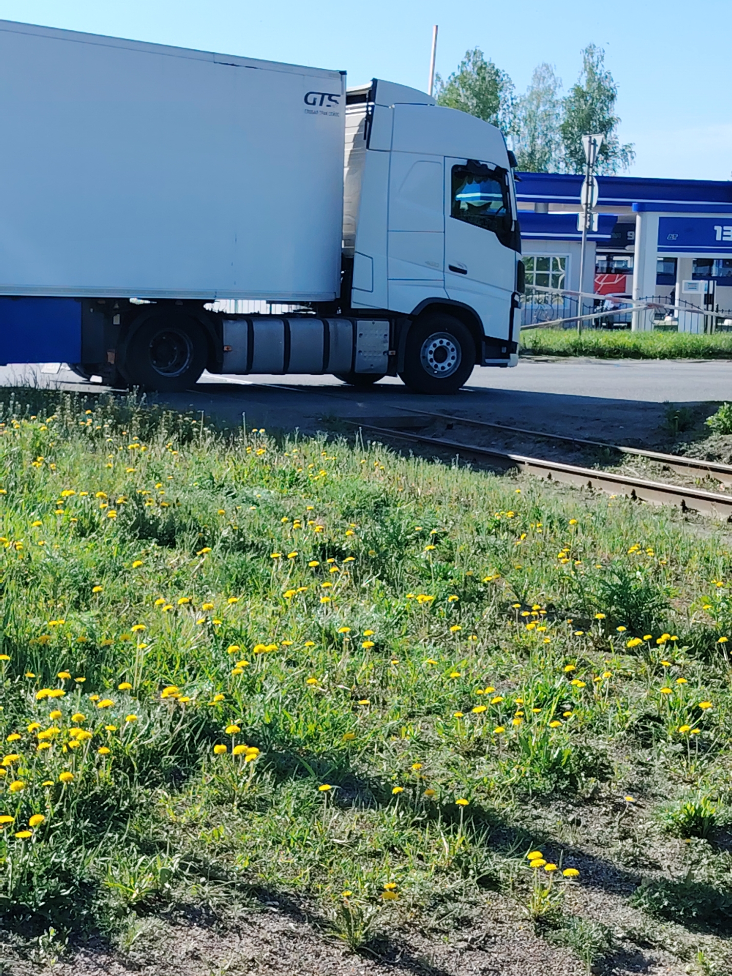 A white semi-truck with a blue undercarriage and the letters "GTS" on the trailer is partially visible on an asphalt road in Chaikovsky, Russia. The truck is positioned next to disused railroad tracks. In the foreground is a field of green grass and dandelions. In the background across the road, there is a gas station with blue and white colors. The sky is blue and clear.