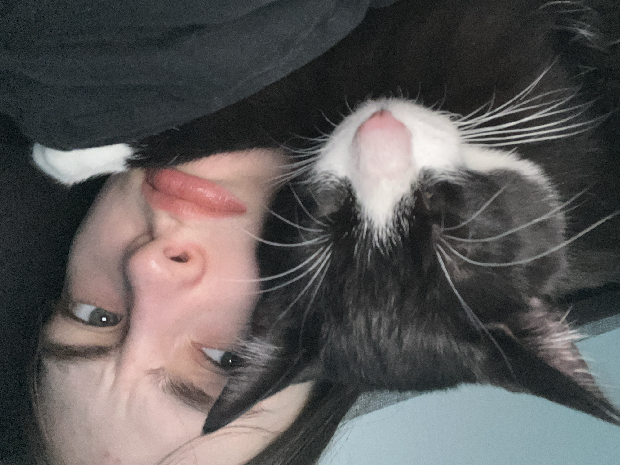 A close-up, rotated image features a person and a cat. The person, viewed from the nose up, has light skin, gray eyes, and pink lips. The cat, black with white markings on its nose and whiskers, is lying close to the person's face. The background appears dark and indistinct. The image's orientation is inverted, making it difficult to discern the precise environment or location, but based on the information provided, the location is Saint Petersburg, Russia.