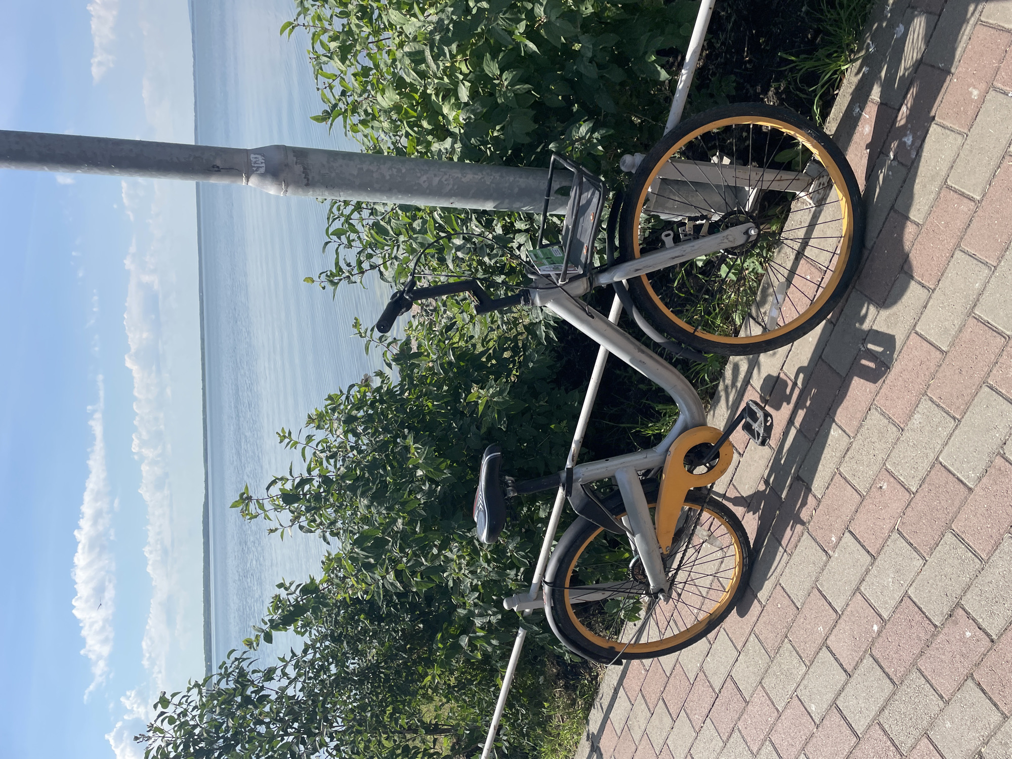 An unattended silver and yellow bicycle with a basket is parked next to a grey utility pole on a brick pathway. The bicycle is facing towards the right of the frame. Behind the bicycle and pathway, there is a dense green bush line that separates the path from a large body of water. The water is calm and reflects the blue sky, which is dotted with fluffy white clouds. The overall scene suggests a sunny day by a lake or large river.