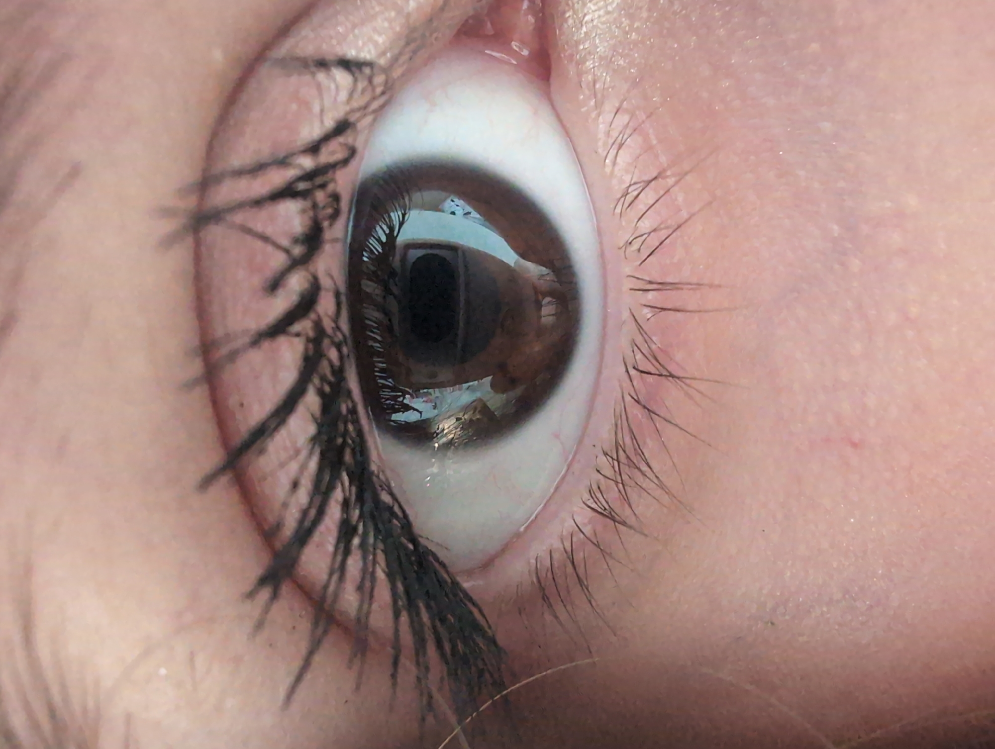 A close-up, slightly angled view of a human eye. The iris is brown, and a reflection is visible in the pupil. The person is wearing mascara on the upper eyelashes. The skin surrounding the eye is fair. The location is not evident from the image, and therefore, I cannot determine its location in the city of Unknown, Unknown.