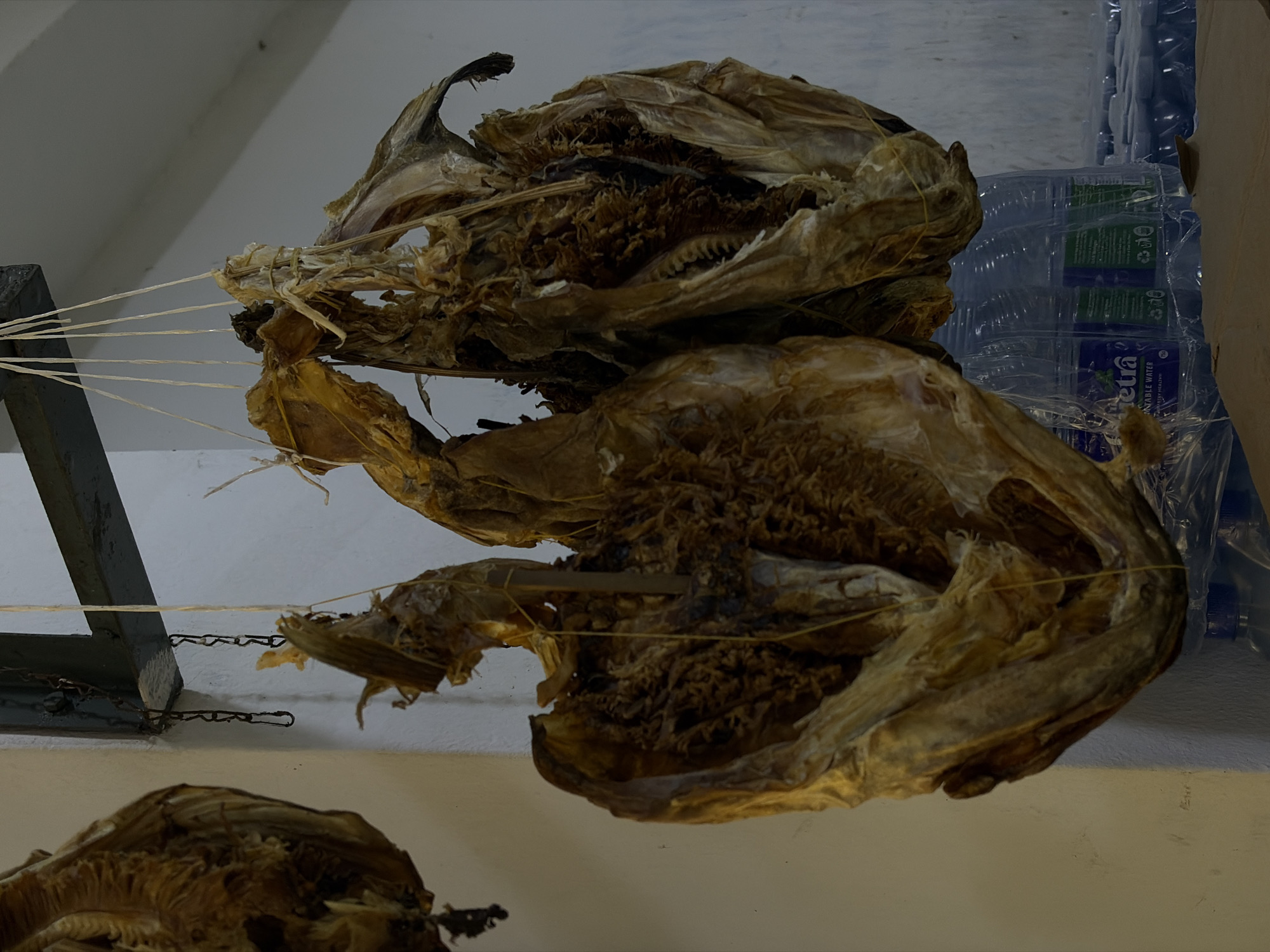 In Igboefon, Nigeria, a close-up shot focuses on three large, dried fish hanging from a metal beam by twine and chains. The fish, predominantly brown and golden in color, are opened and appear desiccated, with visible skeletal structures and fins. One fish on the left hangs slightly apart, while the other two are clustered together in the center and right of the frame. Below the hanging fish, several large plastic bottles of water are visible, some with labels that read "Tetra" and "Potable Water." The background consists of a plain, light-colored wall, suggesting an indoor market or storage area. The lighting is dim, with some shadows cast by the hanging objects.