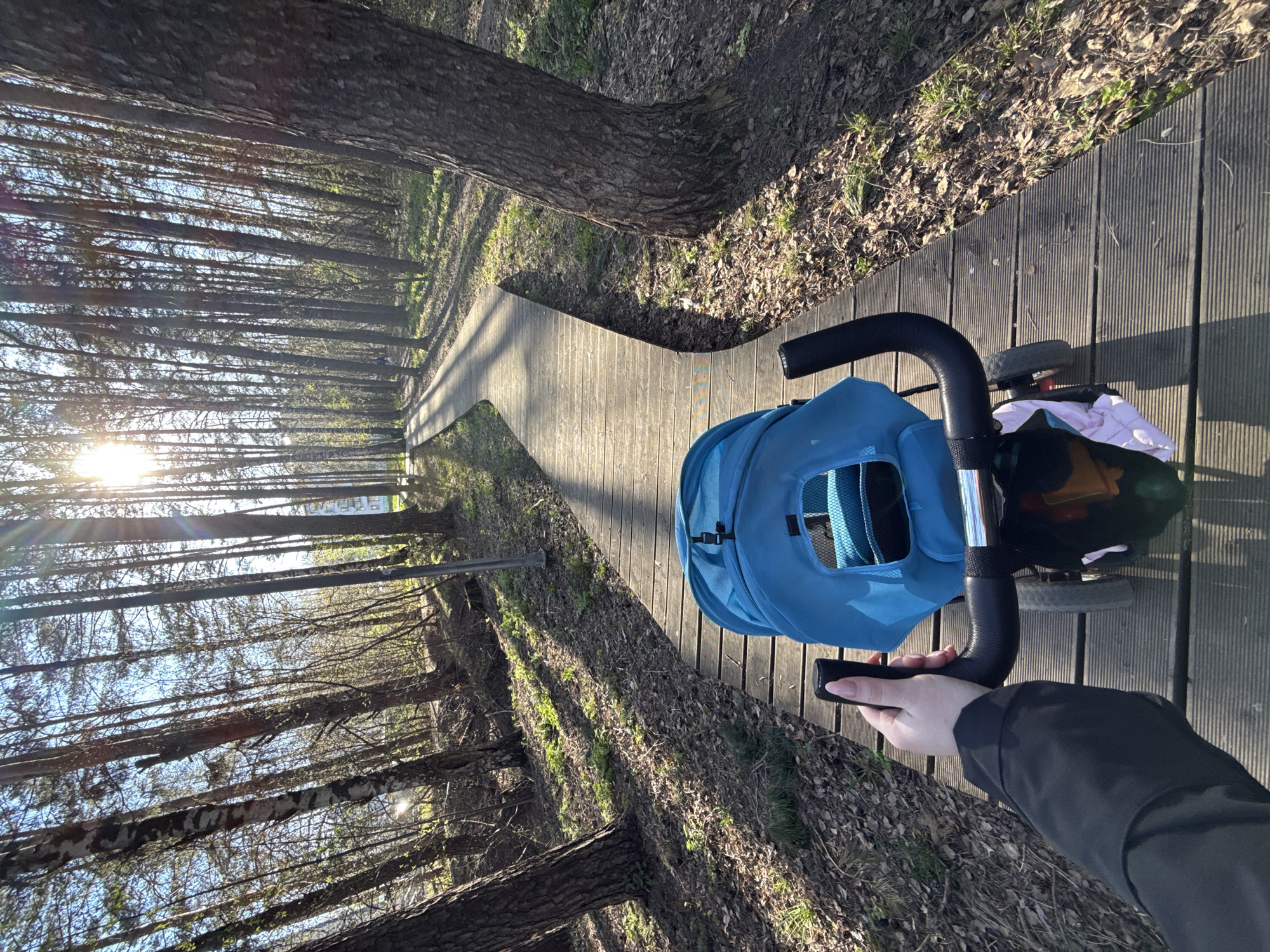 A first-person perspective image shows a person pushing a blue baby stroller on a wooden walkway in a wooded area. The walkway is flanked by trees on both sides, and the ground is covered in fallen leaves and some green vegetation. Sunlight filters through the trees, creating bright spots and shadows. The hand of the person pushing the stroller is visible holding the stroller's handle, wearing a black jacket. The stroller is positioned on the wooden walkway with the person pushing it in front of them. The scene is likely a park or a forested area with a designated path. Given the prompt's information, the image may have been taken in the city of Chaikovsky, Russia.