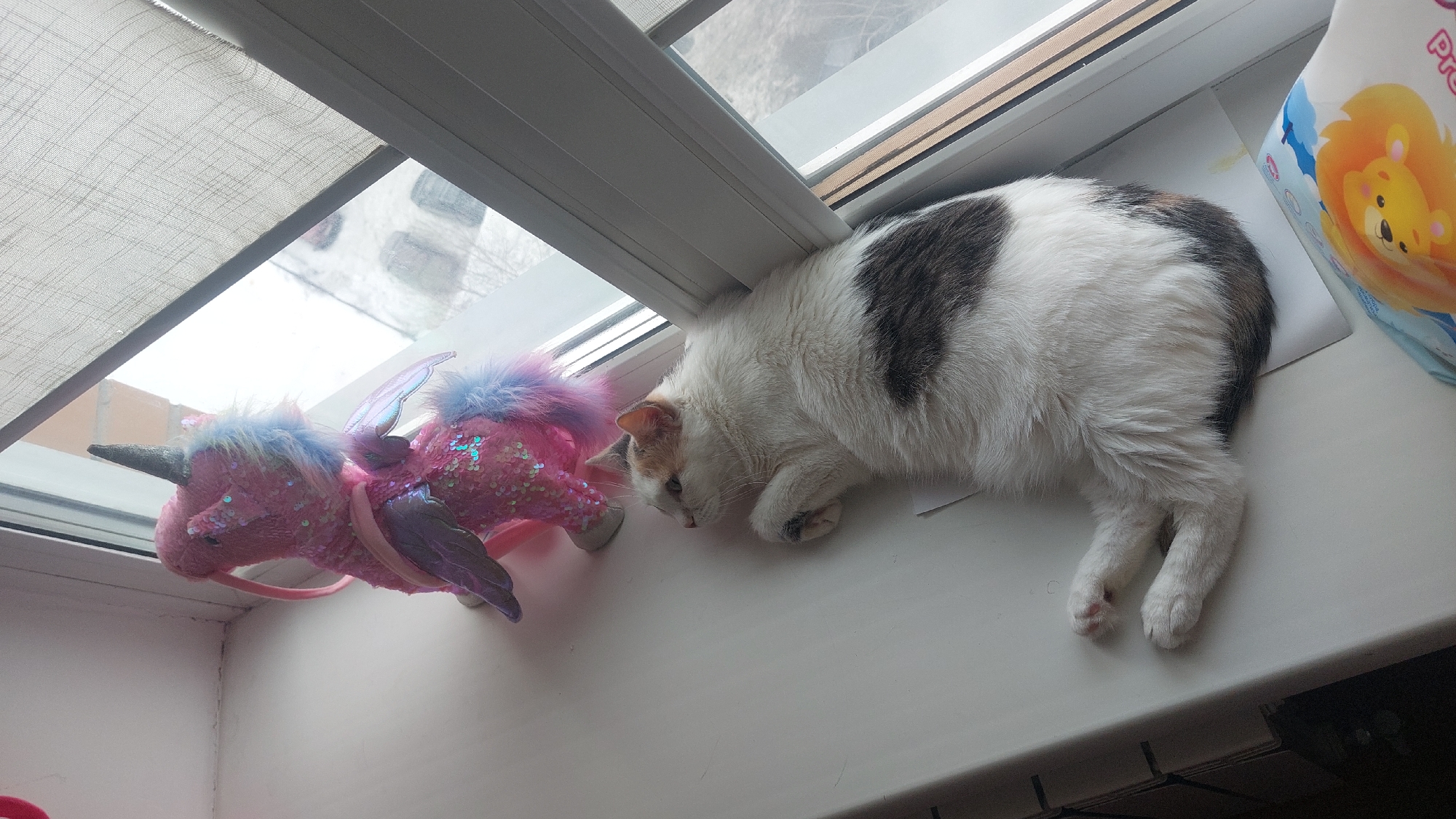 A calico cat is lying on a white windowsill. Next to the cat is a pink unicorn toy with a purple wing and a light blue mane. A window is visible behind the cat and toy, with a gray blind partially blocking the view. A package with a cartoon lion is to the right of the cat. The location is identified as Novosibirsk, Russia.