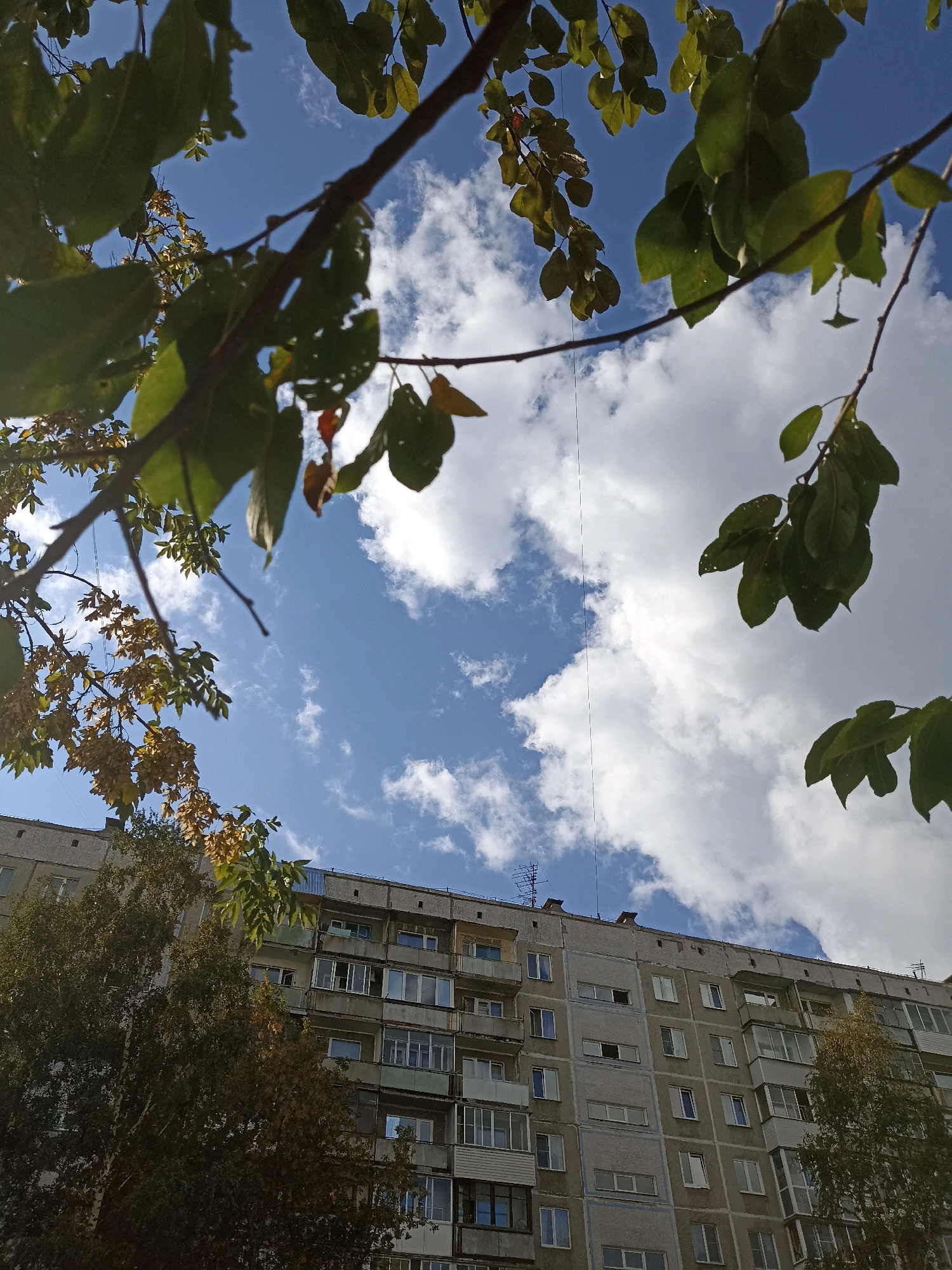 A low-angle shot shows a weathered, multi-story apartment building against a bright blue sky with scattered white clouds. Branches of trees, some with green leaves and others with yellowing leaves, frame the top and sides of the image, obscuring parts of the sky and the upper levels of the building. The building is constructed of grey concrete blocks with rows of windows and balconies. Some windows are open, and some balconies have railings. Antennas are visible on the rooftop. The scene appears to be an outdoor urban environment.