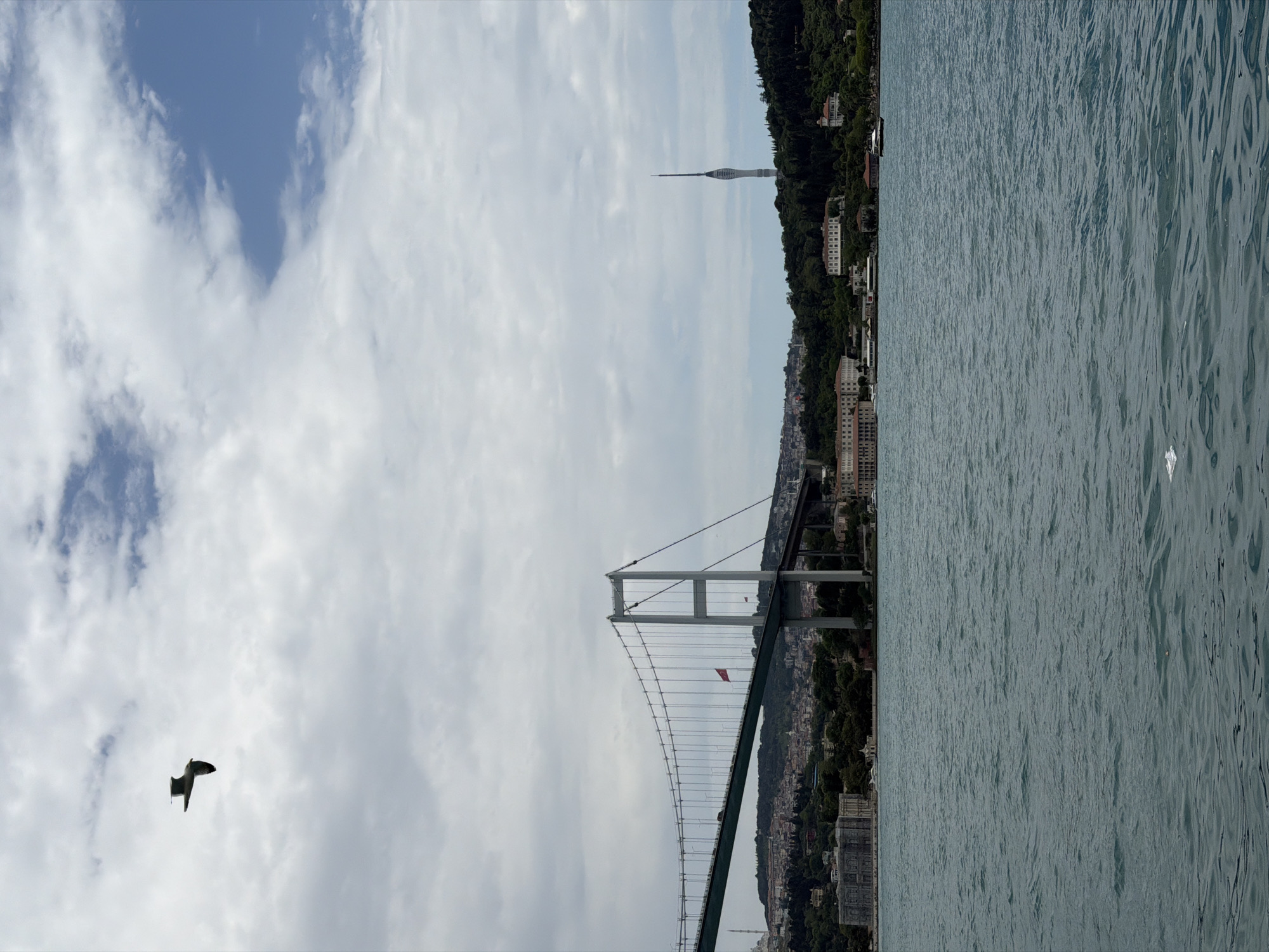 The image captures a cityscape featuring the Bosphorus Bridge, also known as the 15 July Martyrs Bridge, in Istanbul, Turkey. The bridge spans a body of water, likely the Bosphorus strait. The eastern side of the scene likely shows the Beşiktaş district on the European side. A tall communication tower rises in the background. A bird is in flight in the cloudy sky.