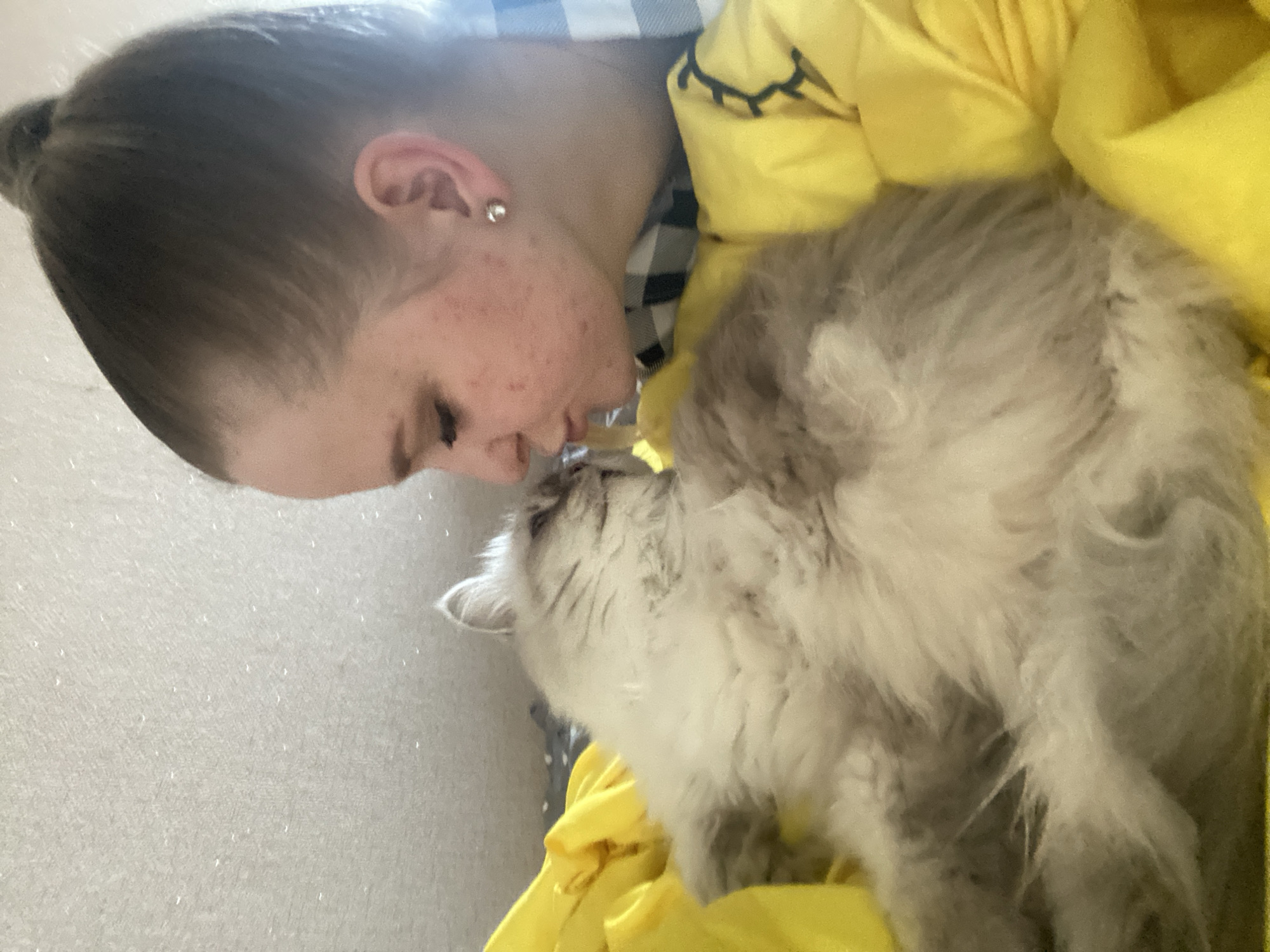 A medium shot shows a young woman with her hair pulled back in a bun, leaning in to kiss a fluffy gray and white cat. The cat is nestled amongst bright yellow fabric, and the woman is wearing a checkered shirt. The background appears to be a textured wall.