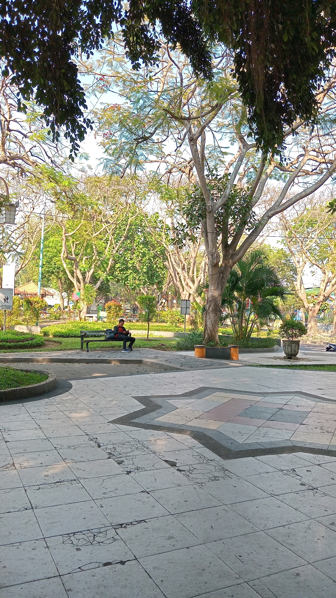 In Randuagung, Indonesia, a person is seated on a park bench in what appears to be a public park. The individual, wearing a dark jacket and red shirt, is looking down at a mobile device. A backpack rests beside them on the bench. The park features lush green grass, mature trees with exposed branches, and paved walkways with a geometric design. Potted plants and decorative bins are scattered throughout the area, and in the background, there are glimpses of buildings and other park structures. The scene is illuminated by natural daylight, suggesting it is daytime.