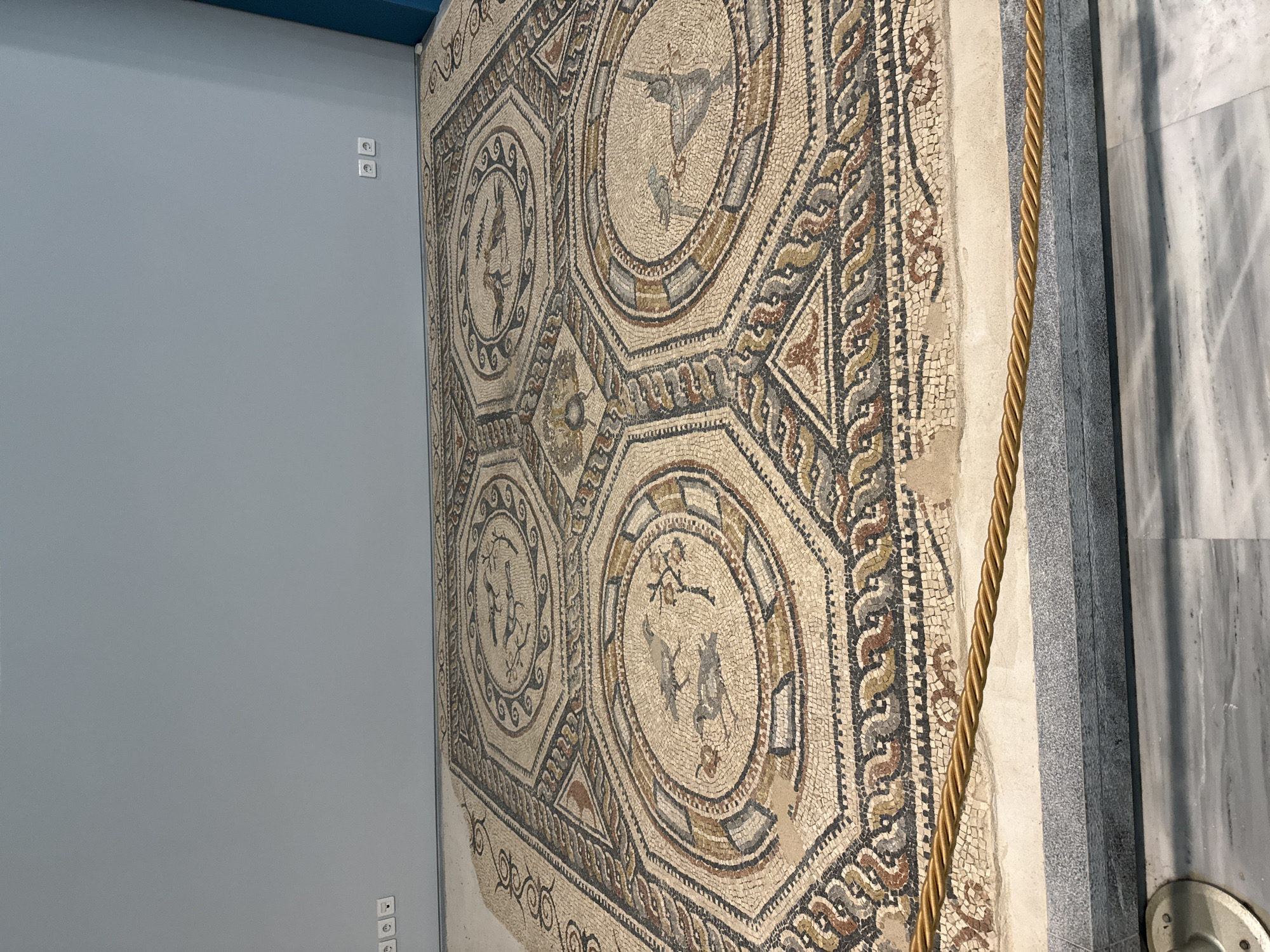 The image shows a large, ancient mosaic floor on display indoors, likely in a museum. The mosaic is octagonal in shape and features several circular medallions containing depictions of birds. The surrounding geometric patterns are intricate and display a variety of colors, including beige, brown, black, gray, and red. The mosaic is laid out on a flat surface, and a golden rope barrier is positioned in front of it, separating it from the viewer. In the background, a light gray wall with several electrical outlets is visible. The floor in front of the mosaic is a polished marble or stone. This mosaic is located in the Heraklion Archaeological Museum in Heraklion, Greece, and is a significant artifact from Roman times.