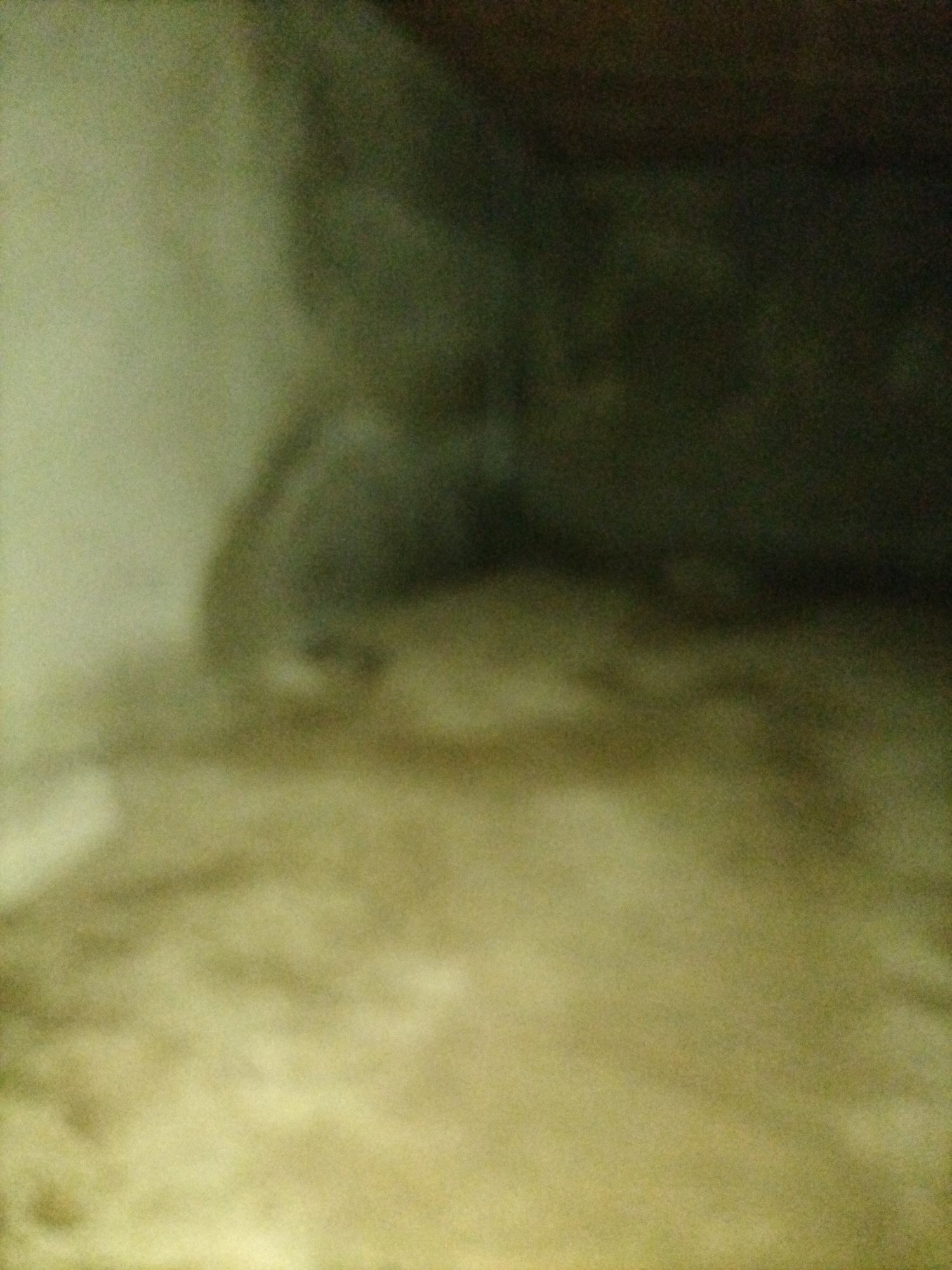 The image is an out-of-focus, low-resolution photograph with poor lighting. It appears to depict a natural or unkempt environment, possibly an outdoor setting. The dominant colors are muted greens, browns, and beige tones. In the upper portion of the image, there is a dark, amorphous mass that could be a shadow or part of a larger object. The lower portion of the image is lighter and appears to be a sandy or dusty surface with some texture. There are no discernible people, objects, or activities that can be identified with certainty due to the lack of clarity. The image quality prevents any specific details about the location in Jalingo, Nigeria, from being determined.