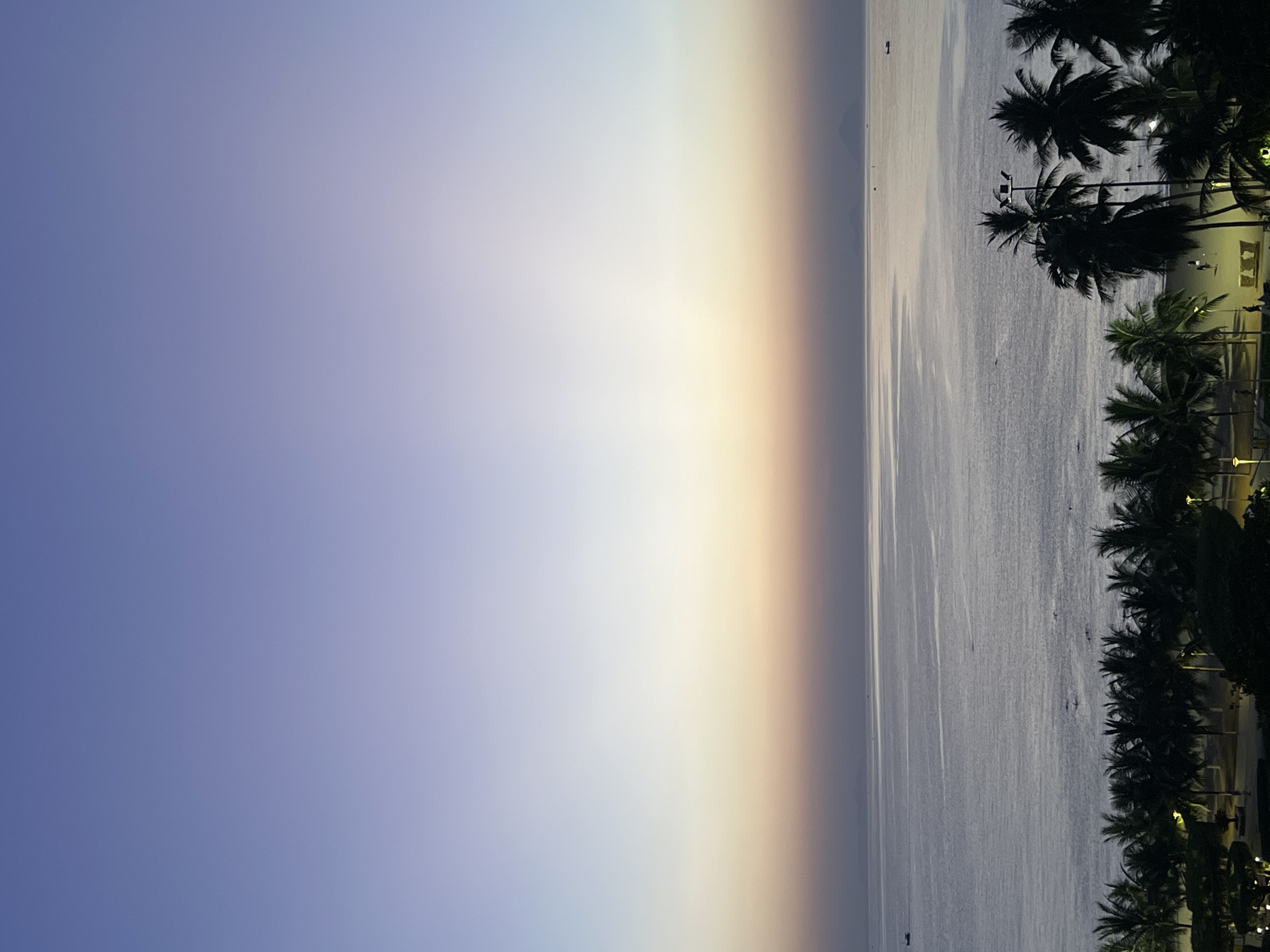 The image depicts a serene beach scene in Nha Trang, Vietnam, likely during either sunrise or sunset. A vast expanse of calm ocean stretches towards the horizon, where the sky transitions from a soft lavender at the top to pale yellow and then a subtle orange closer to the sea. Silhouetted palm trees line the foreground, with lush green foliage visible beneath them. The beach area appears to have scattered lights, indicating either early morning or evening activity. A few small boats are visible on the water, and distant landmasses or islands can be discerned on the horizon. The overall atmosphere is tranquil and picturesque, capturing the natural beauty of the coastal city.