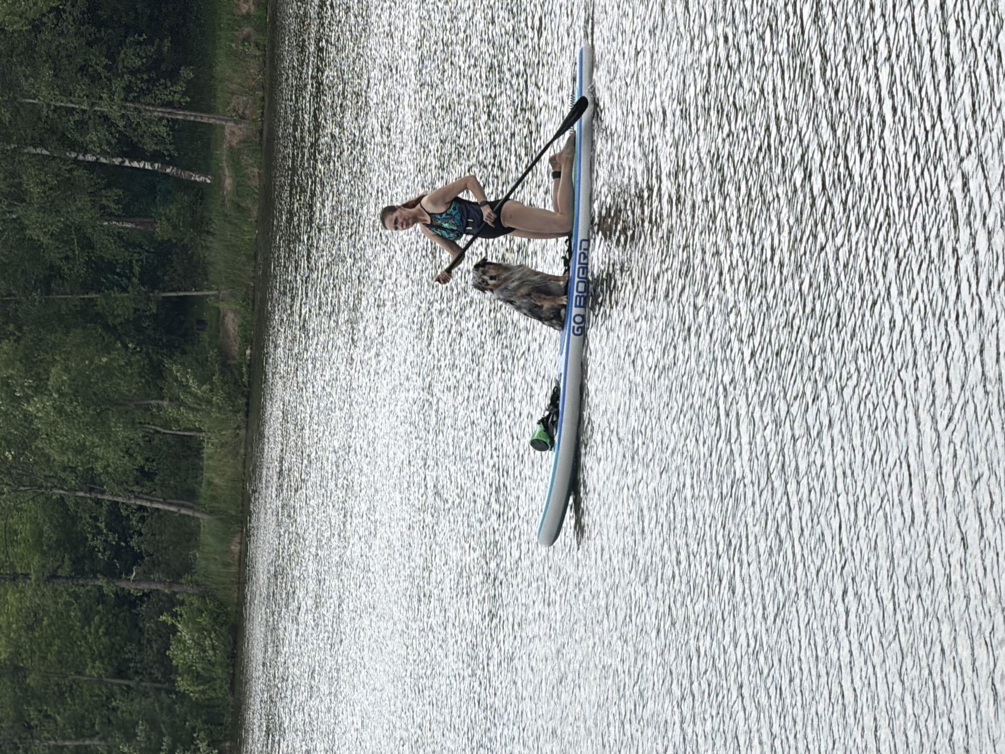 A woman and a dog are on a light blue paddleboard in a body of water, presumably a lake, near Malakhovka, Russia. The woman, dressed in a dark bathing suit with a multi-colored top, is standing on the board and holding a paddle. A medium-sized dog is standing next to her. The paddleboard has the words "GO BOARD" written on it. The water has slight ripples. The left side of the image shows a shoreline with trees.