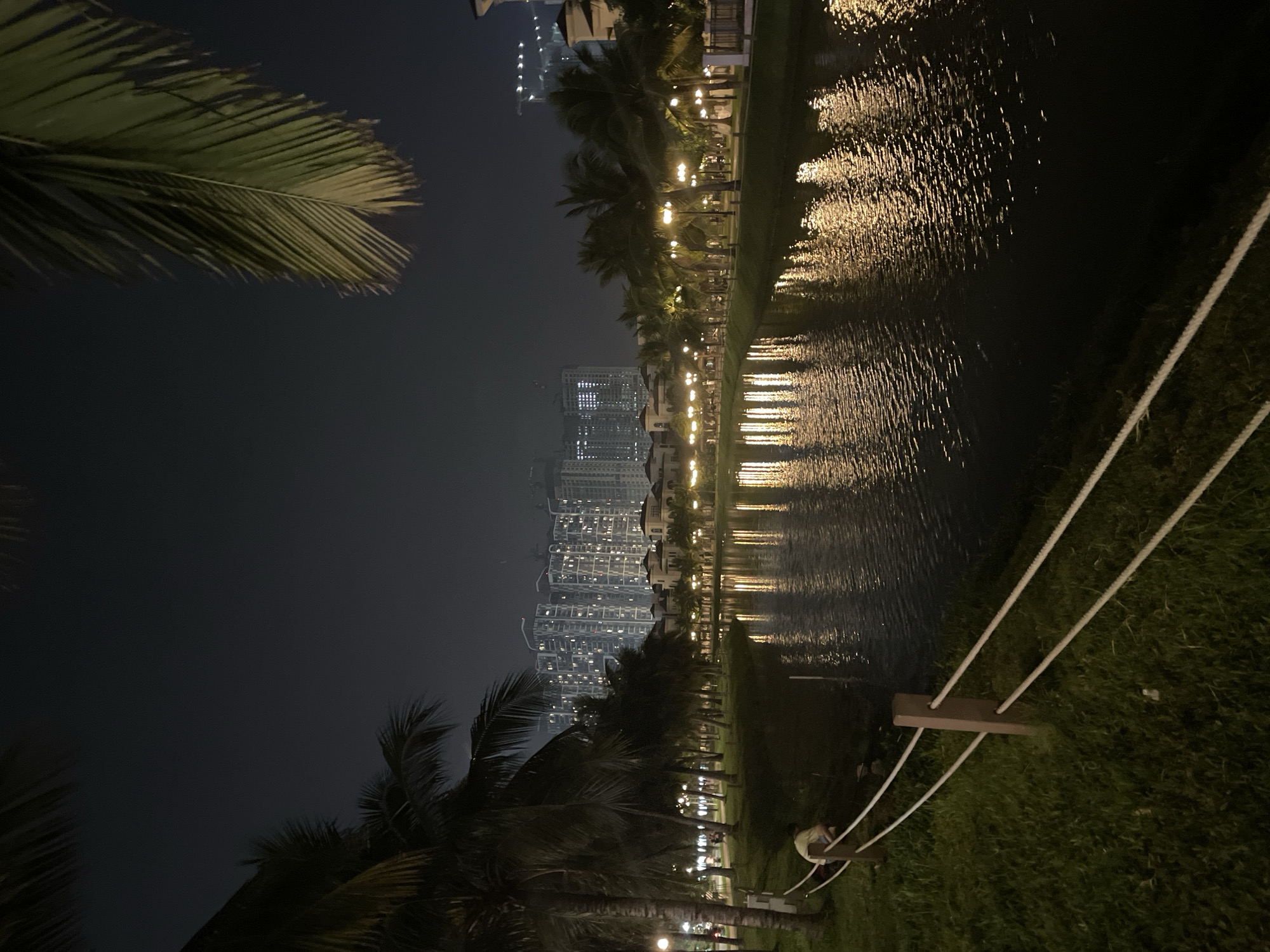 This is a nighttime scene at Vinhomes Ocean Park in Hanoi, Vietnam. In the foreground, a grassy area is bordered by a rope fence with wooden posts. A person, seen from behind, is sitting on the grass near the water's edge. A calm body of water reflects the lights from the surrounding environment. Along the opposite bank of the water, a row of palm trees and streetlights illuminate a pathway. In the background, numerous tall residential buildings with lit windows dominate the skyline. The overall atmosphere is peaceful and serene.